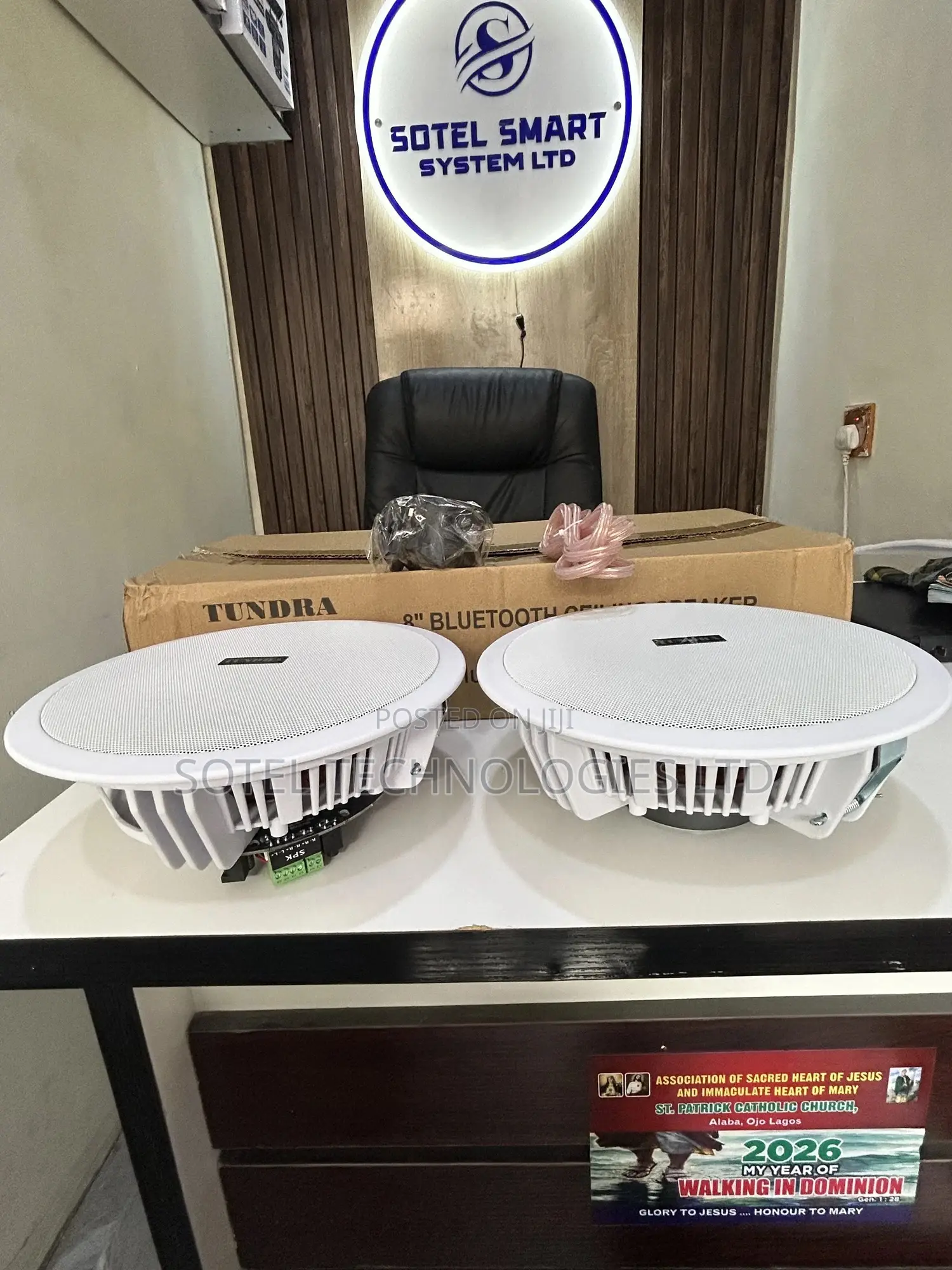 2in1 20w Bluetooth Ceiling Speaker With Built-in Amplifier