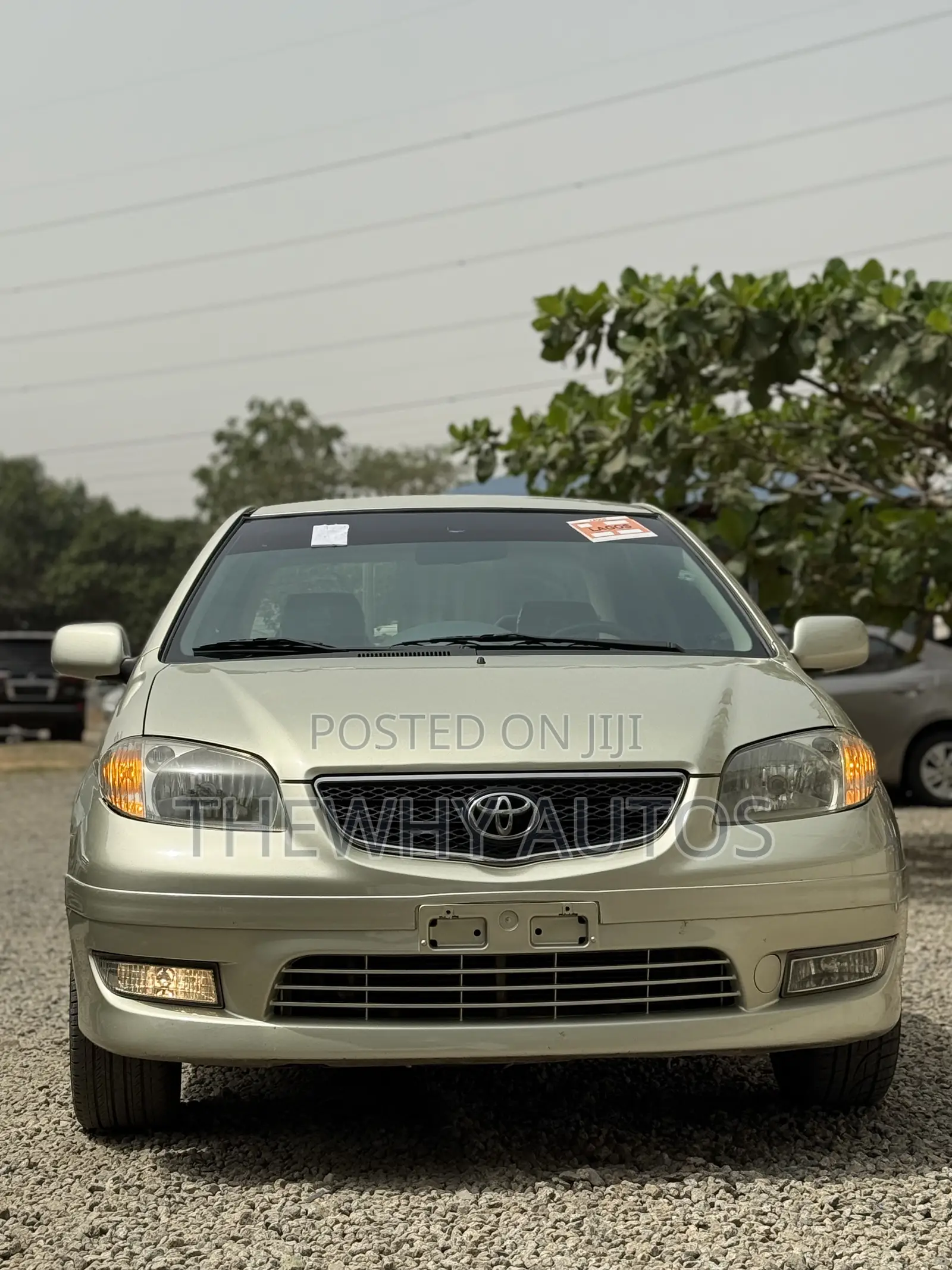 Toyota Vios 2004 Ivory