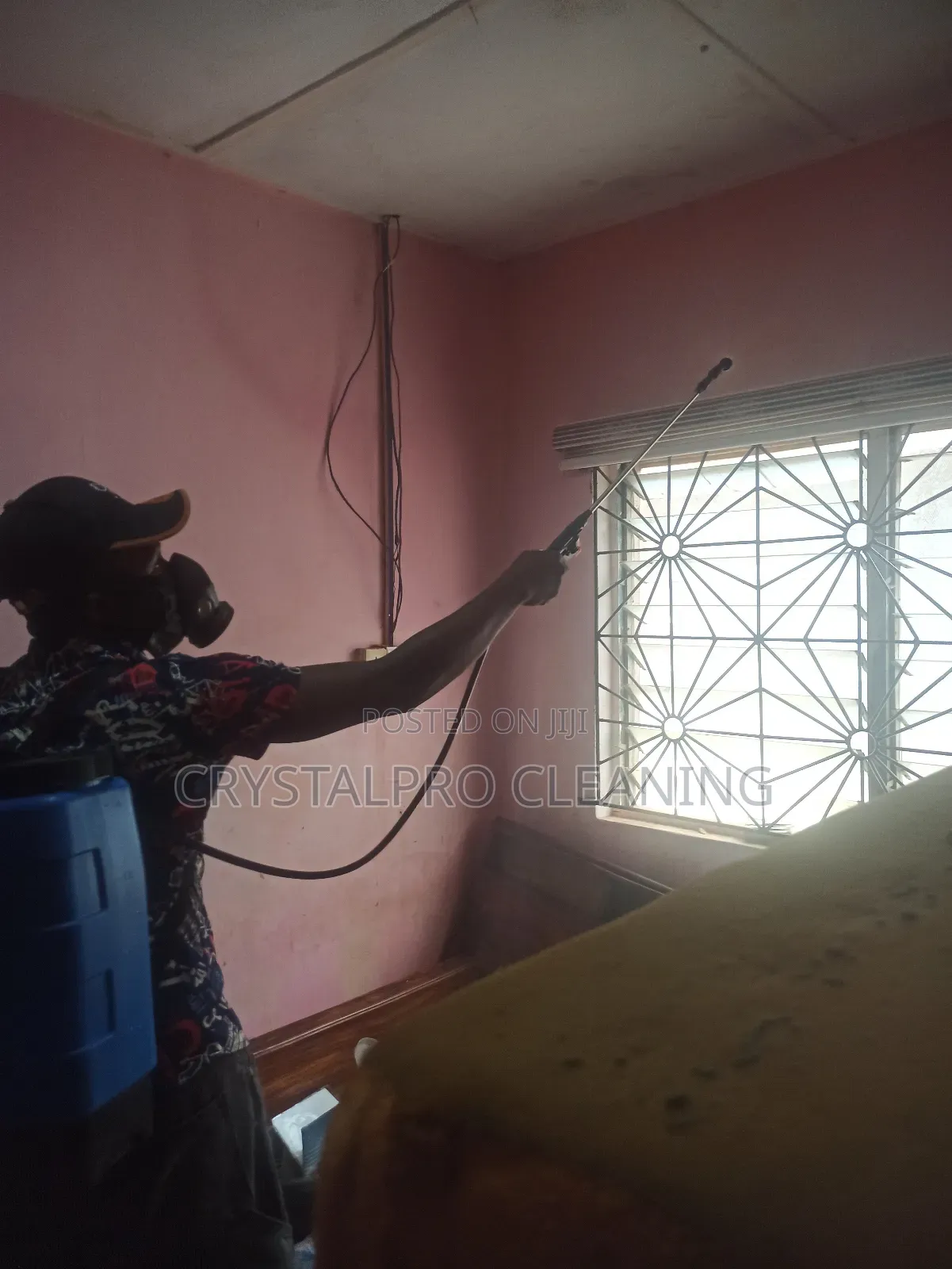 Fumigation and Pest Control Expert