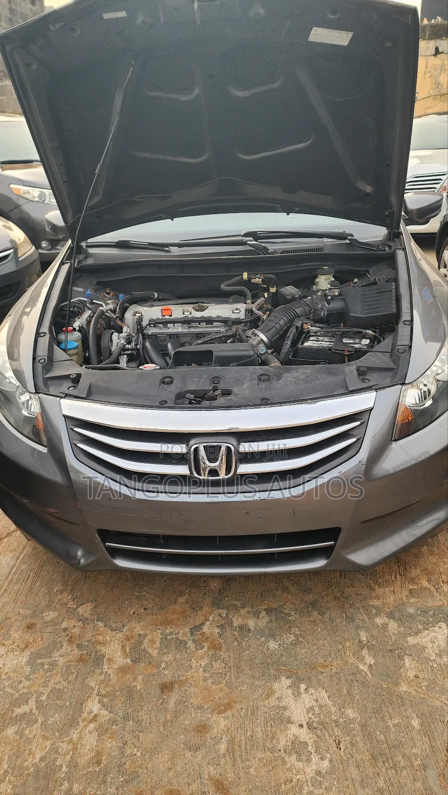 Honda Accord Sedan SE 2011 Gray