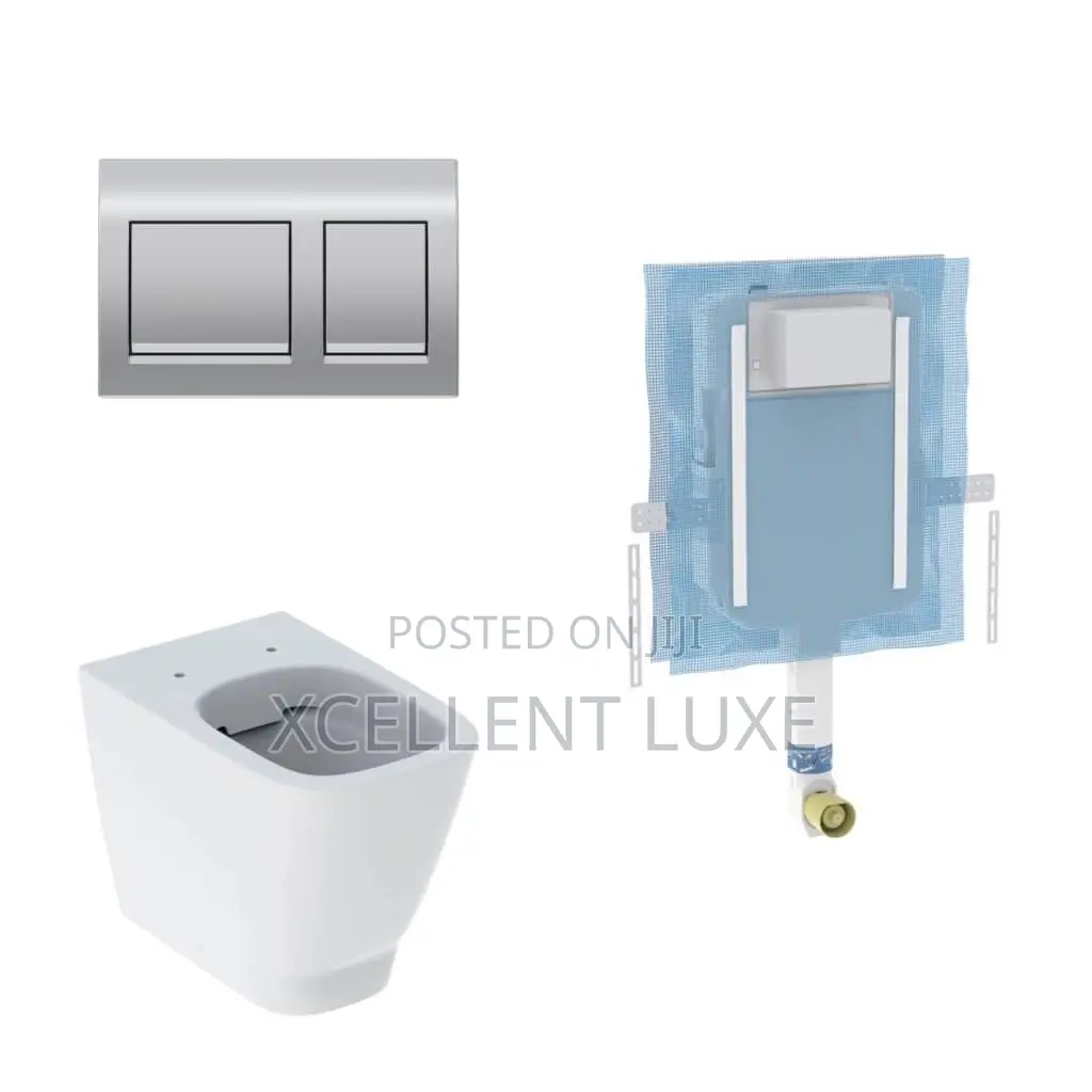 Geberit Doufix Seat On The Floor Wc With A Concealed Cistern