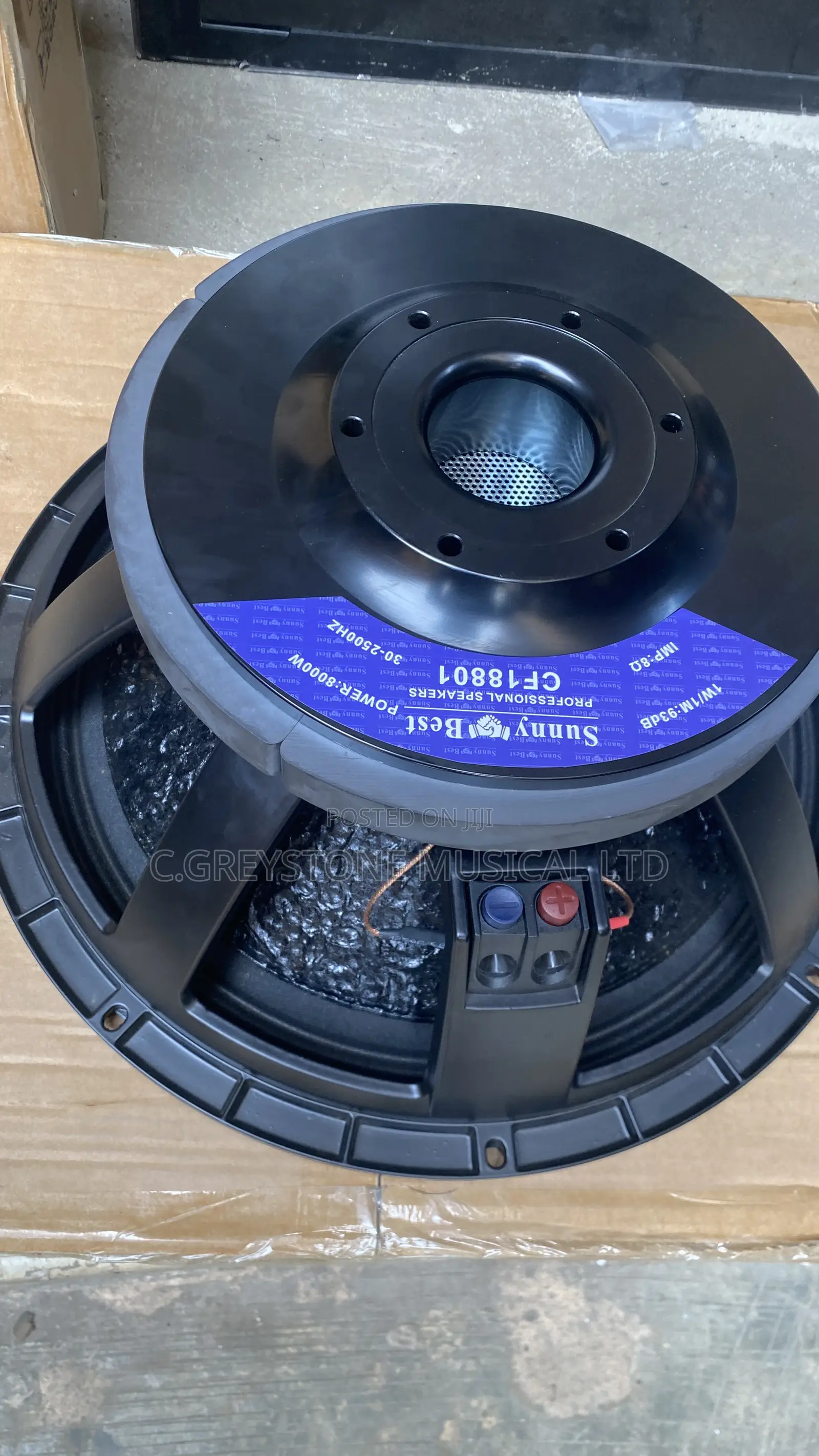 18inches Single Magnet 125coil Sub Speaker