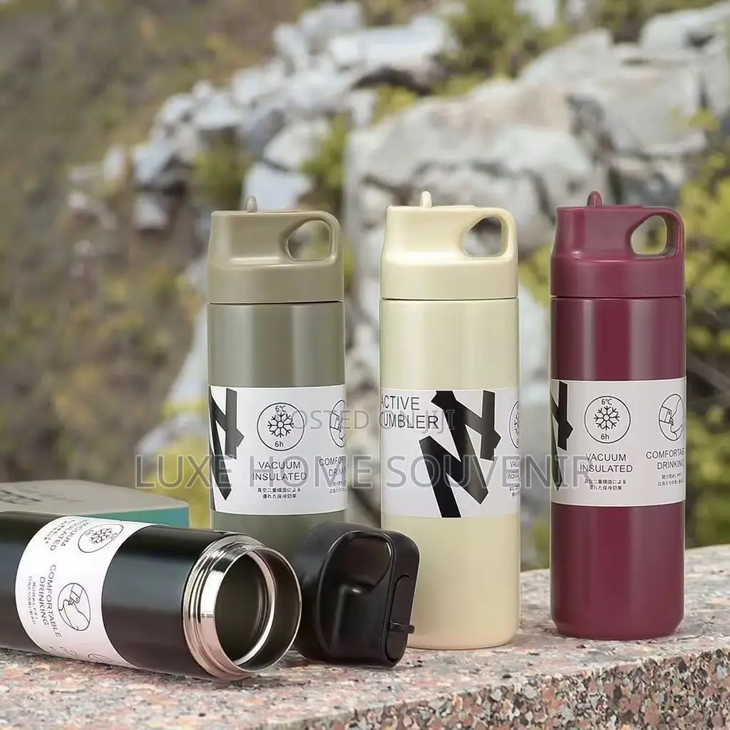 17oz Stainless Steel Vacuum Flask
