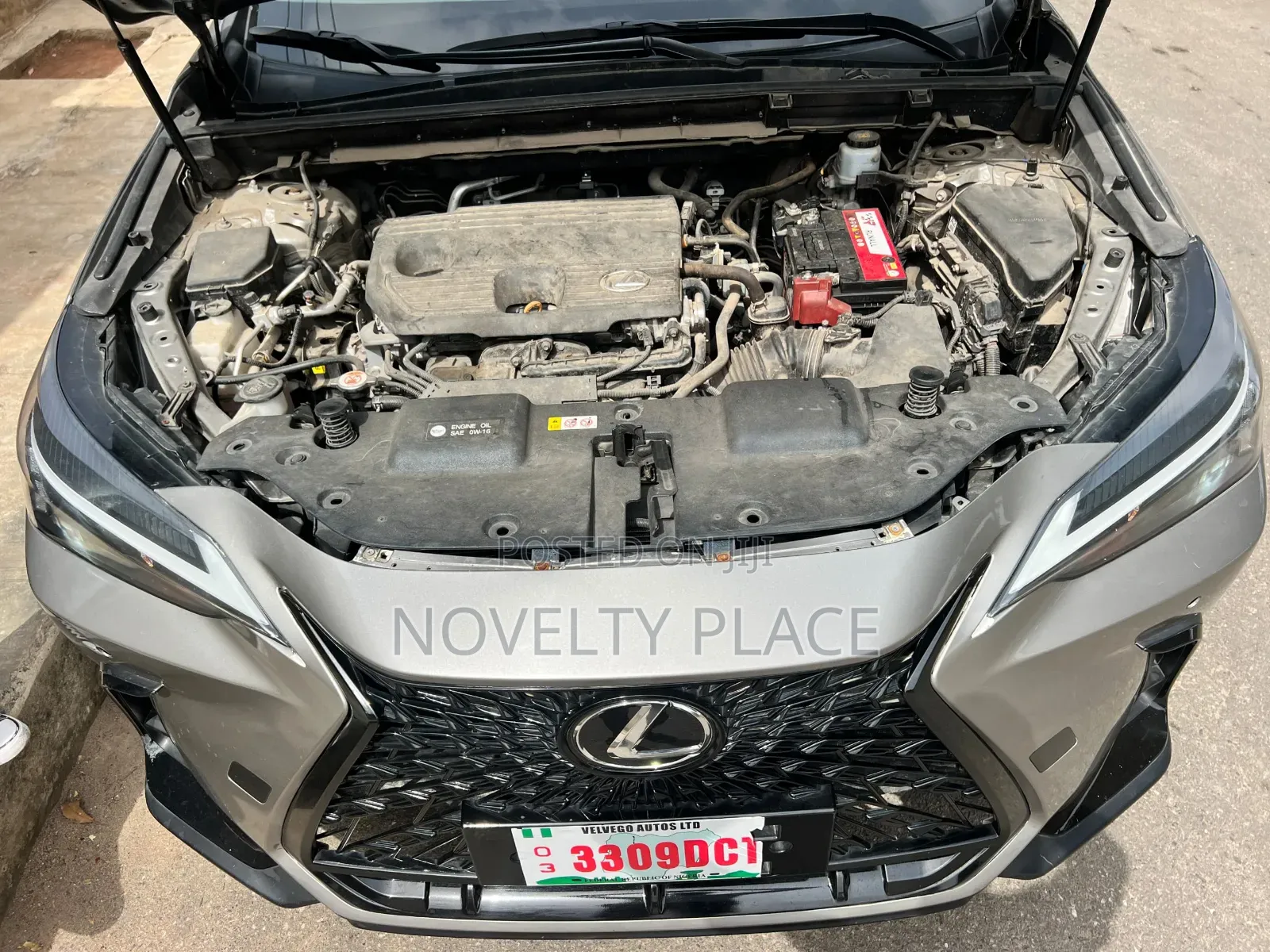 Lexus NX 250 Luxury 2023 Brown
