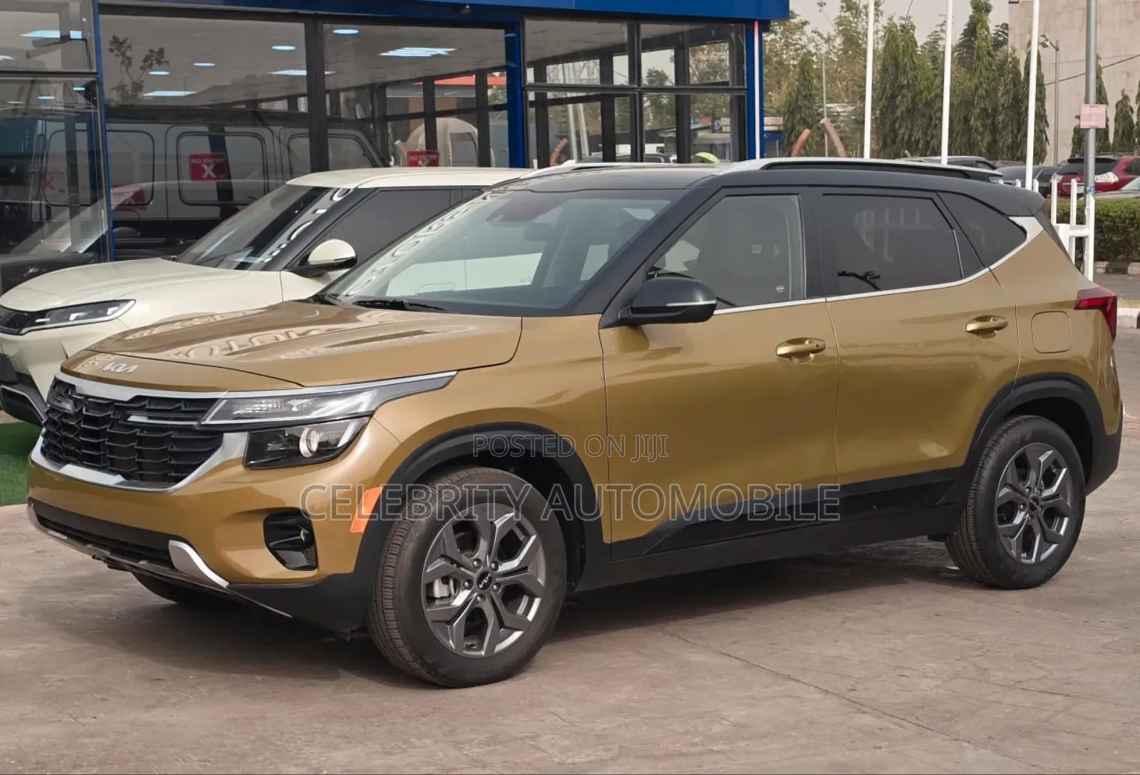 Kia Seltos 2024 Gold