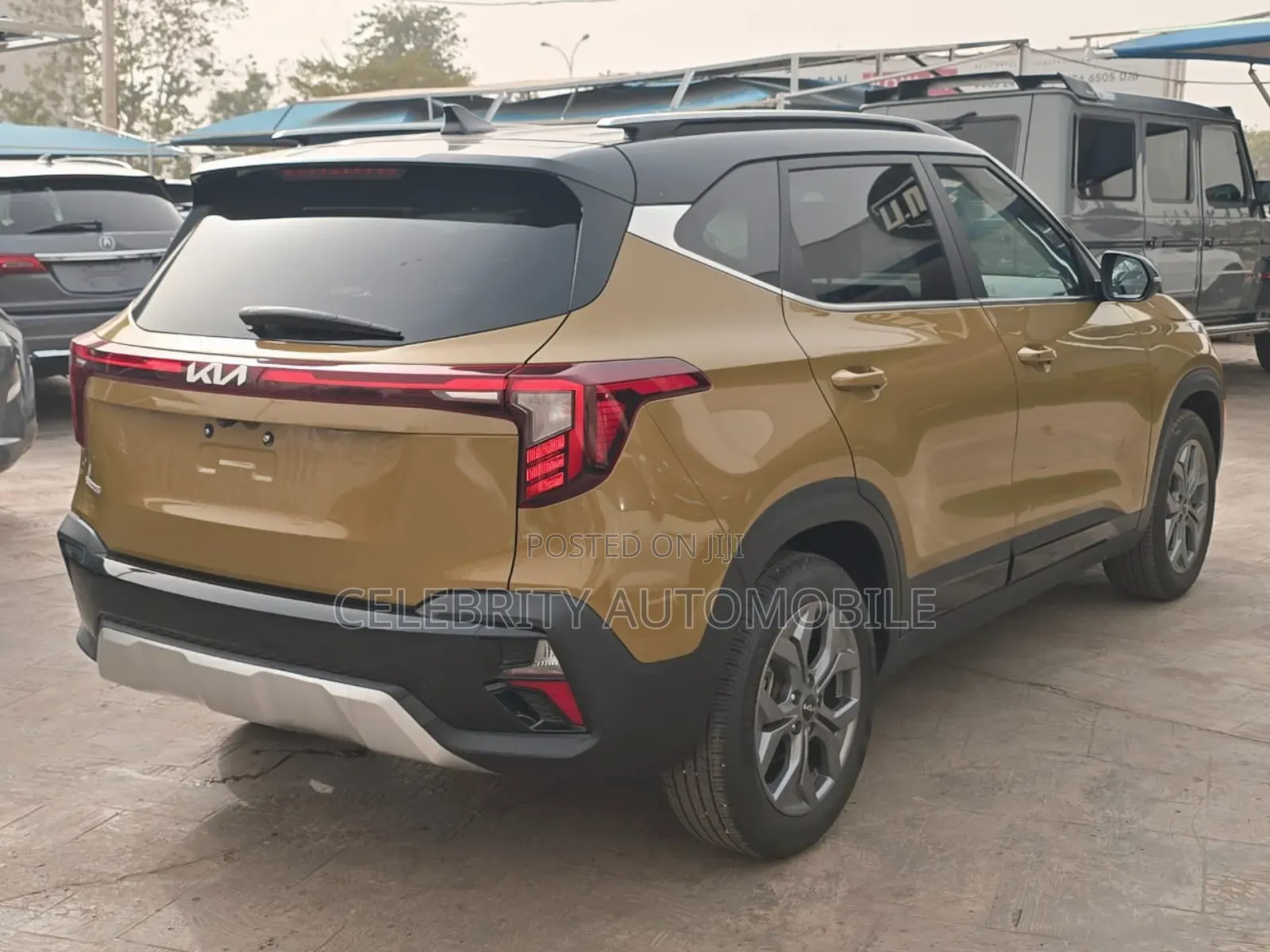 Kia Seltos 2024 Gold