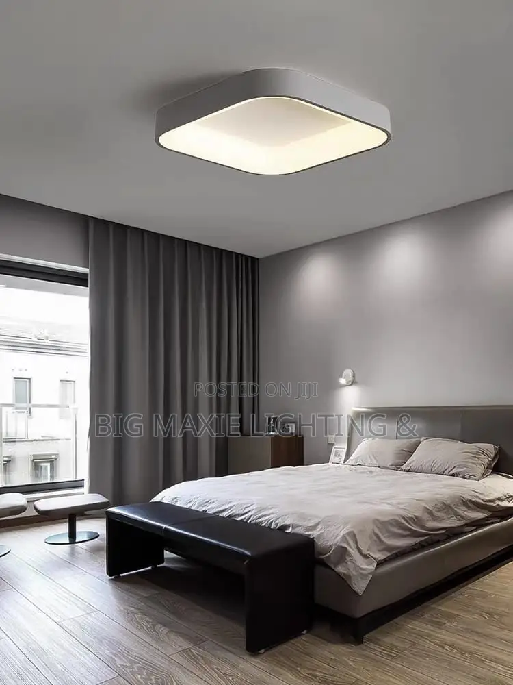 Room Ceiling Light