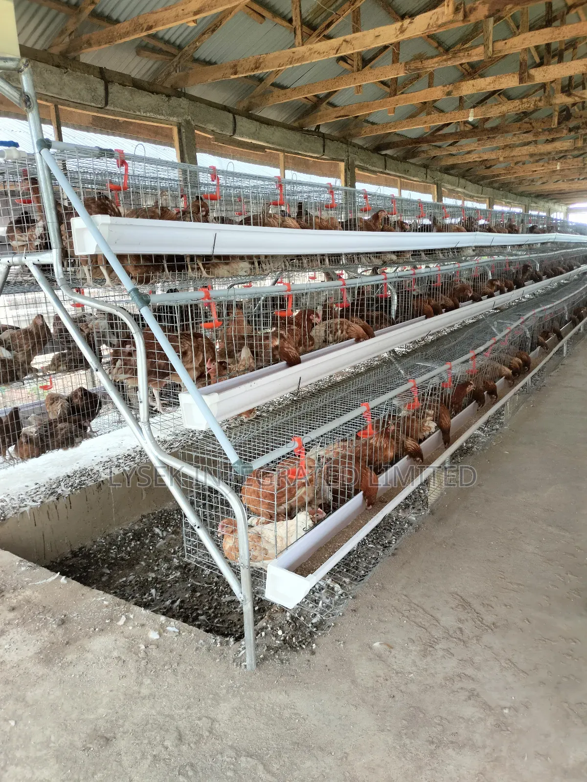 Battery Cage With Accessories