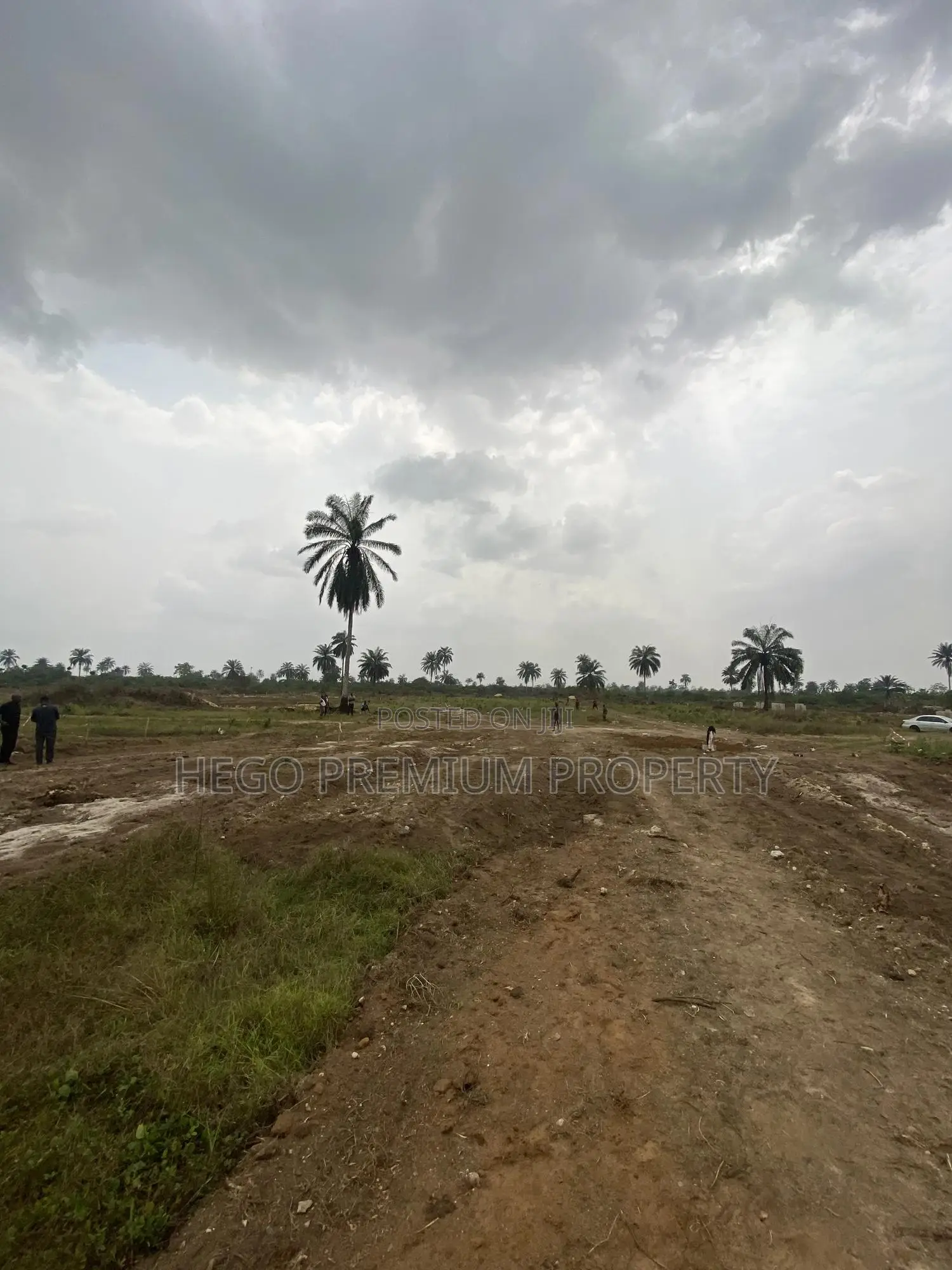 Bulk Land for Sale