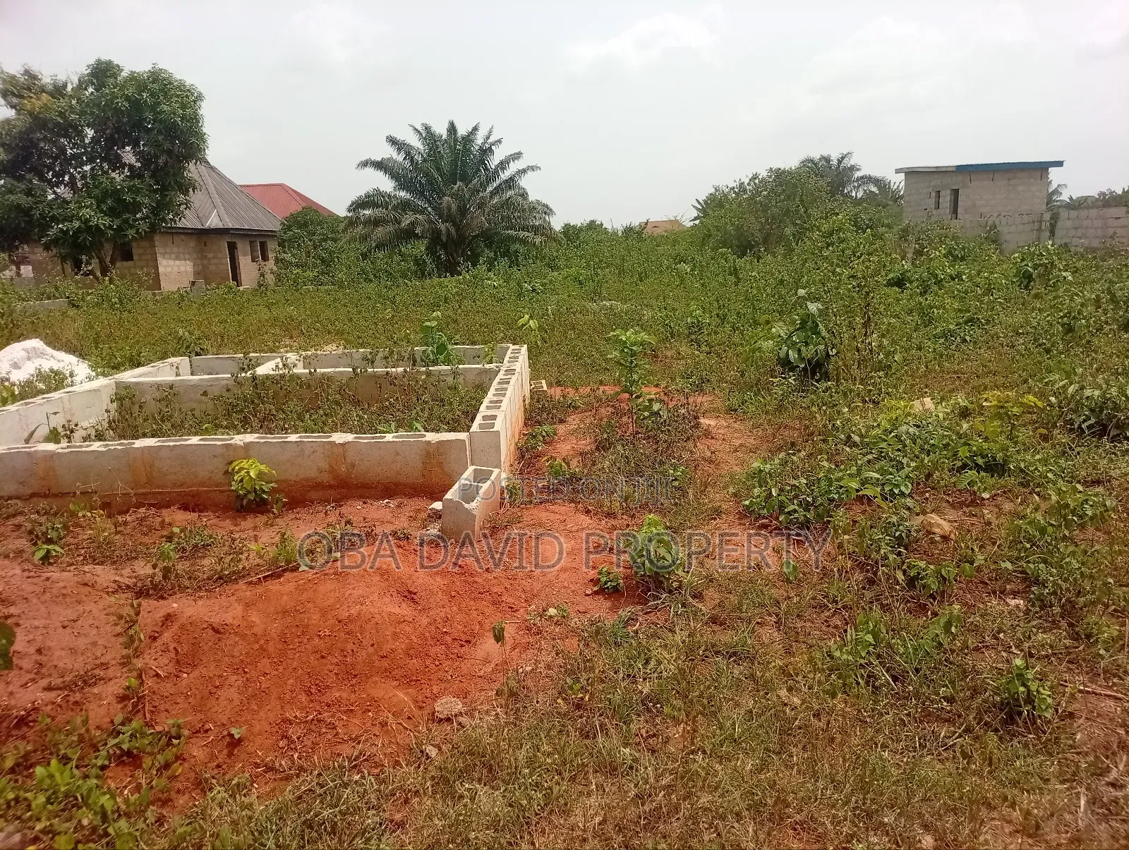Landed Property