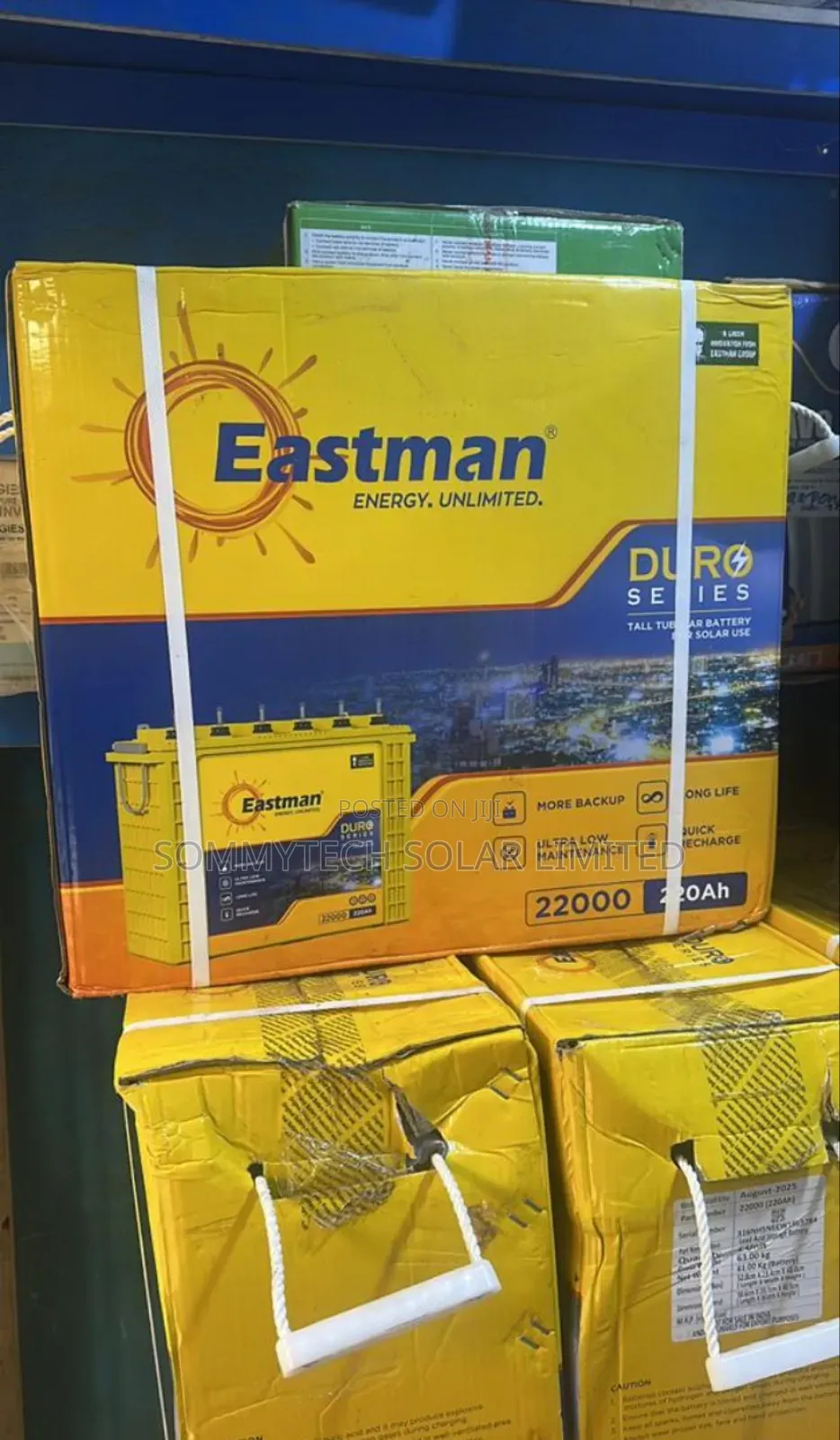 220ah Eastman Tubular Battery