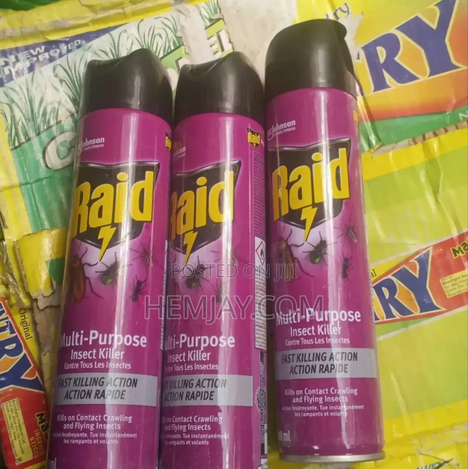 Raid " Anti Insect Spray". (Cockroach, Ant, Spider, Mosquito, Bee 