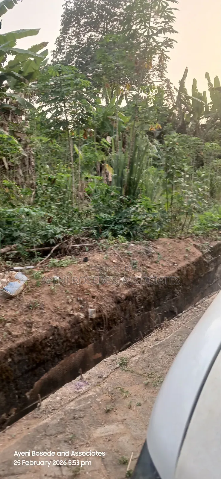 Land for Sale