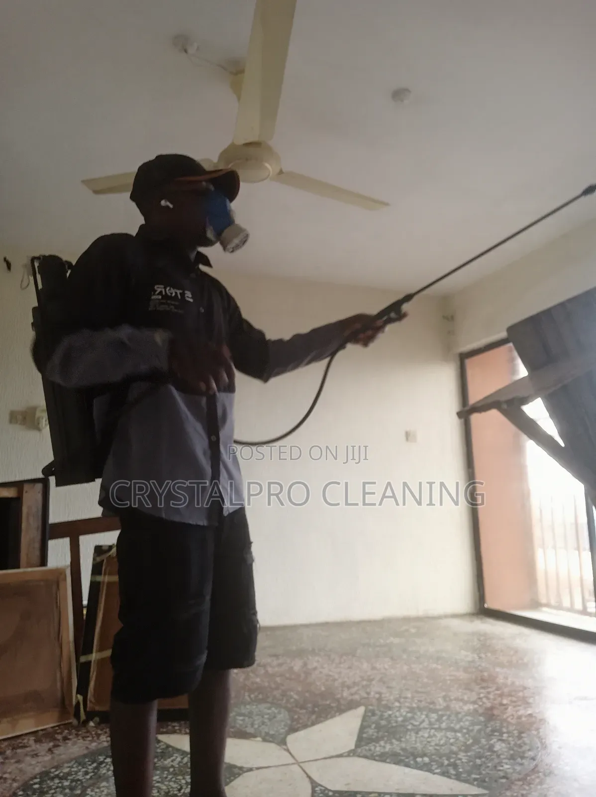 Top Best Fumigation Service