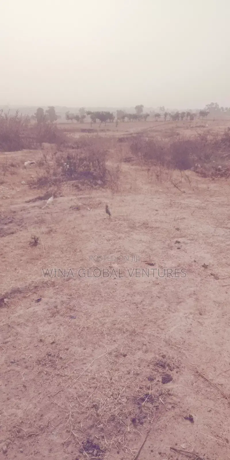 Approximately One Hectare of Land for Sale