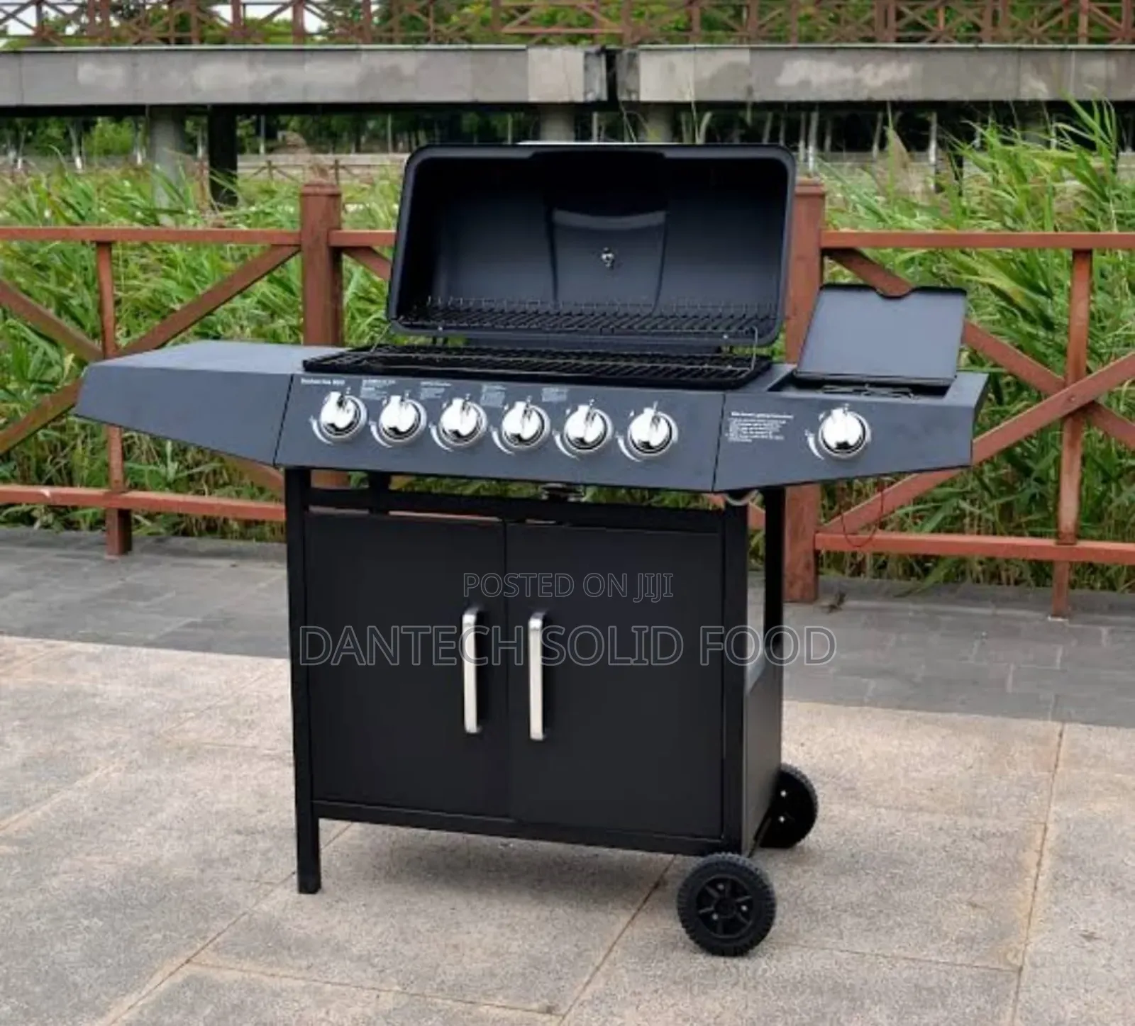 6burner Gas BBQ Grill