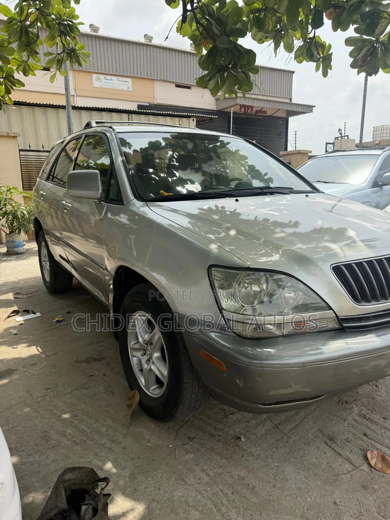 Lexus RX 300 4WD 2001 Silver