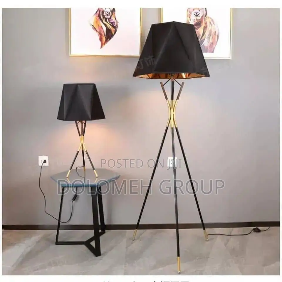 Minimalist Modern Floor and Lamp