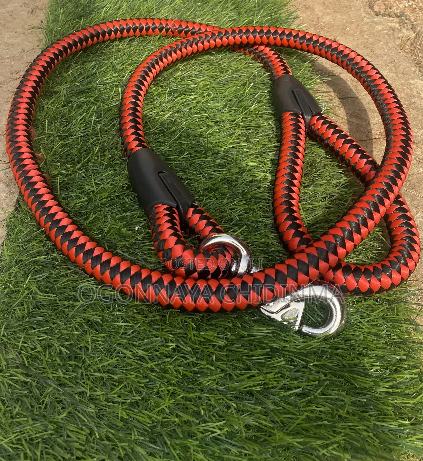 Dog Accessories