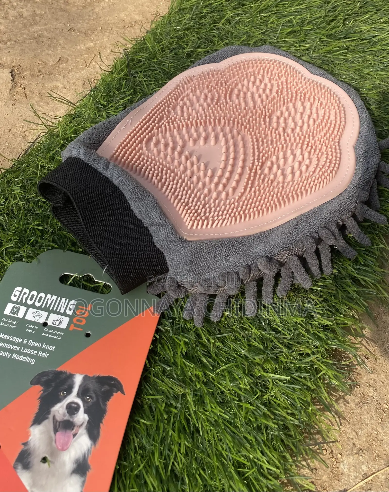 Dog Accessories