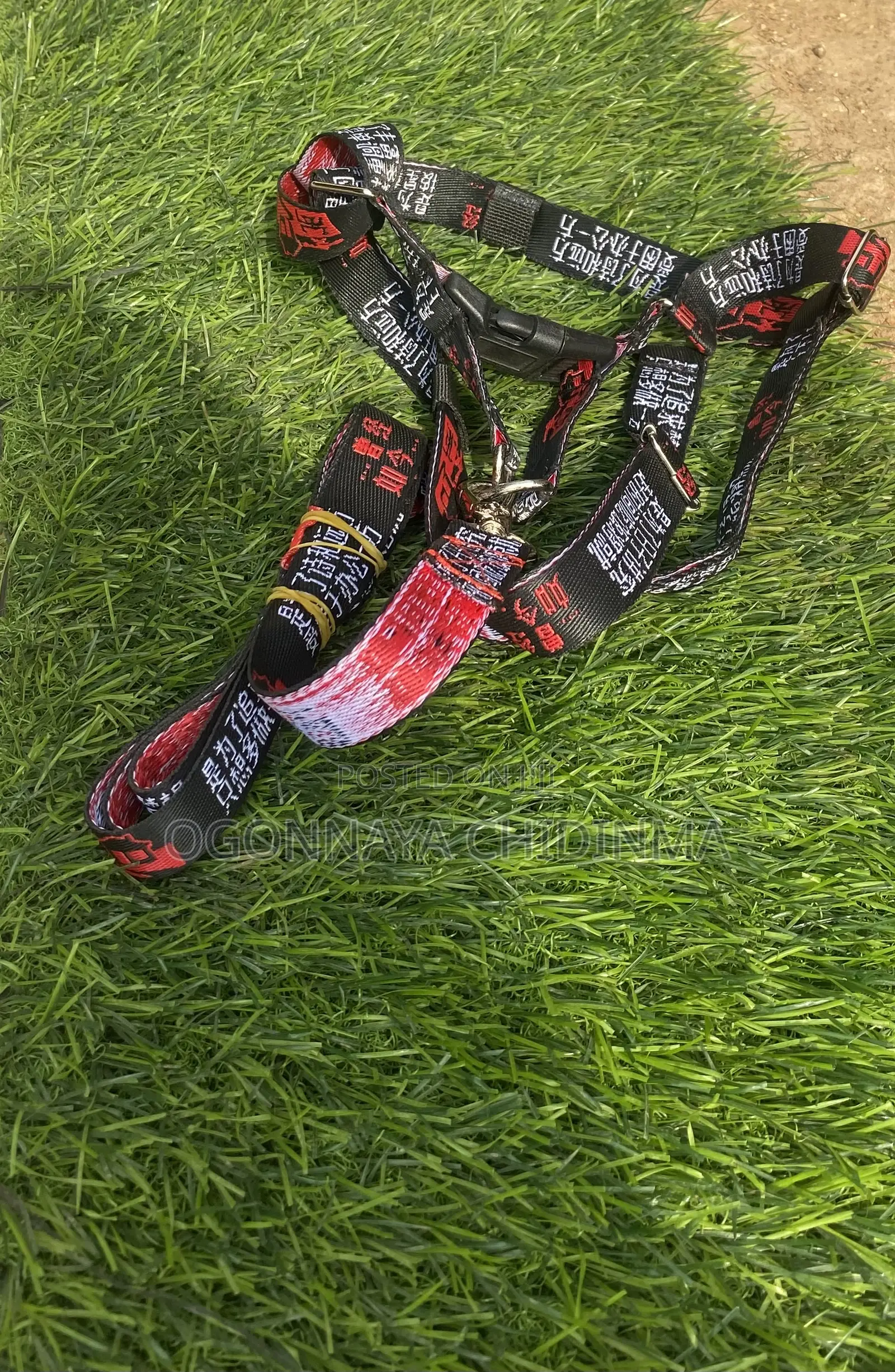 Dog Accessories