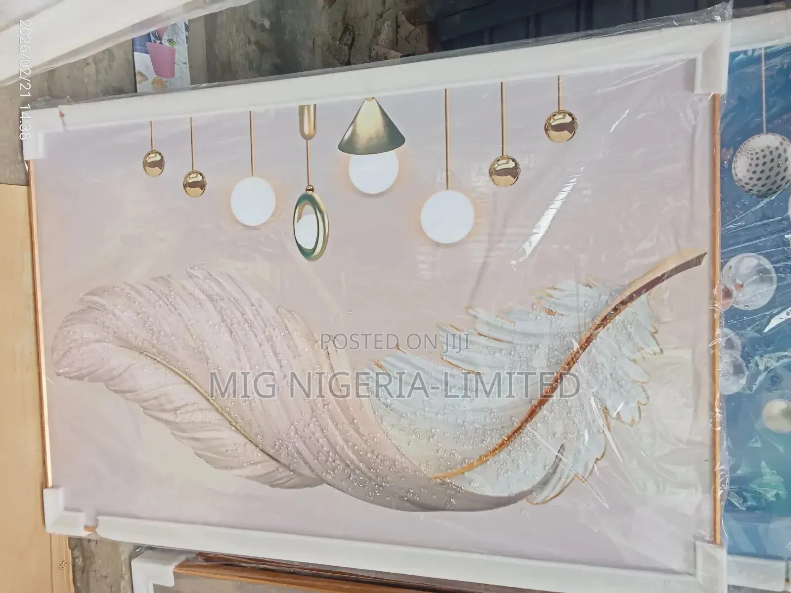 80cmx120cm Wall Acrylics Large Frame White Feather Design Gold