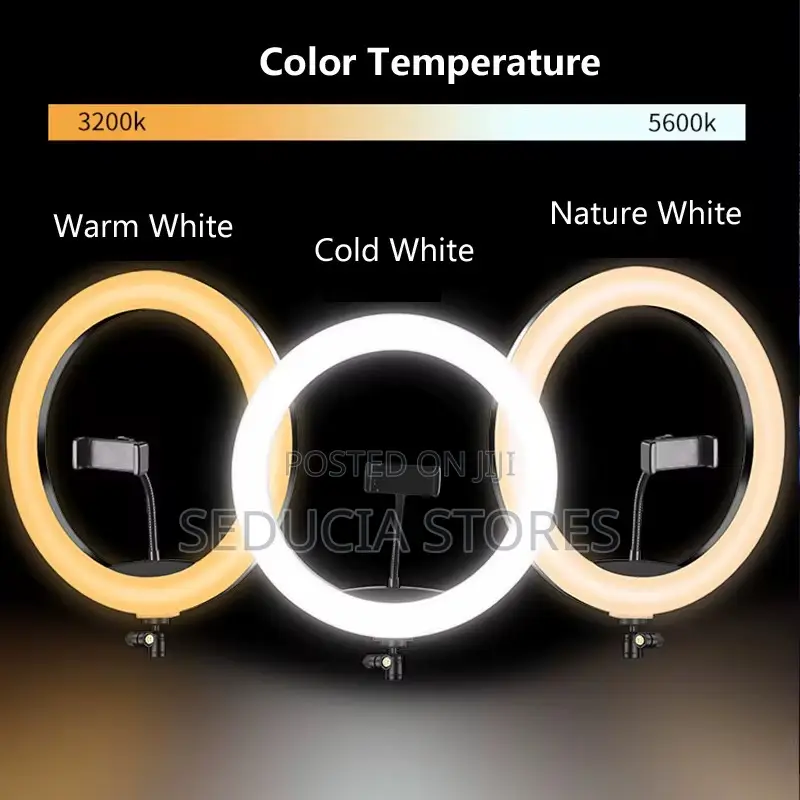 10 Inches Normal Ringlight With Tripod Stand