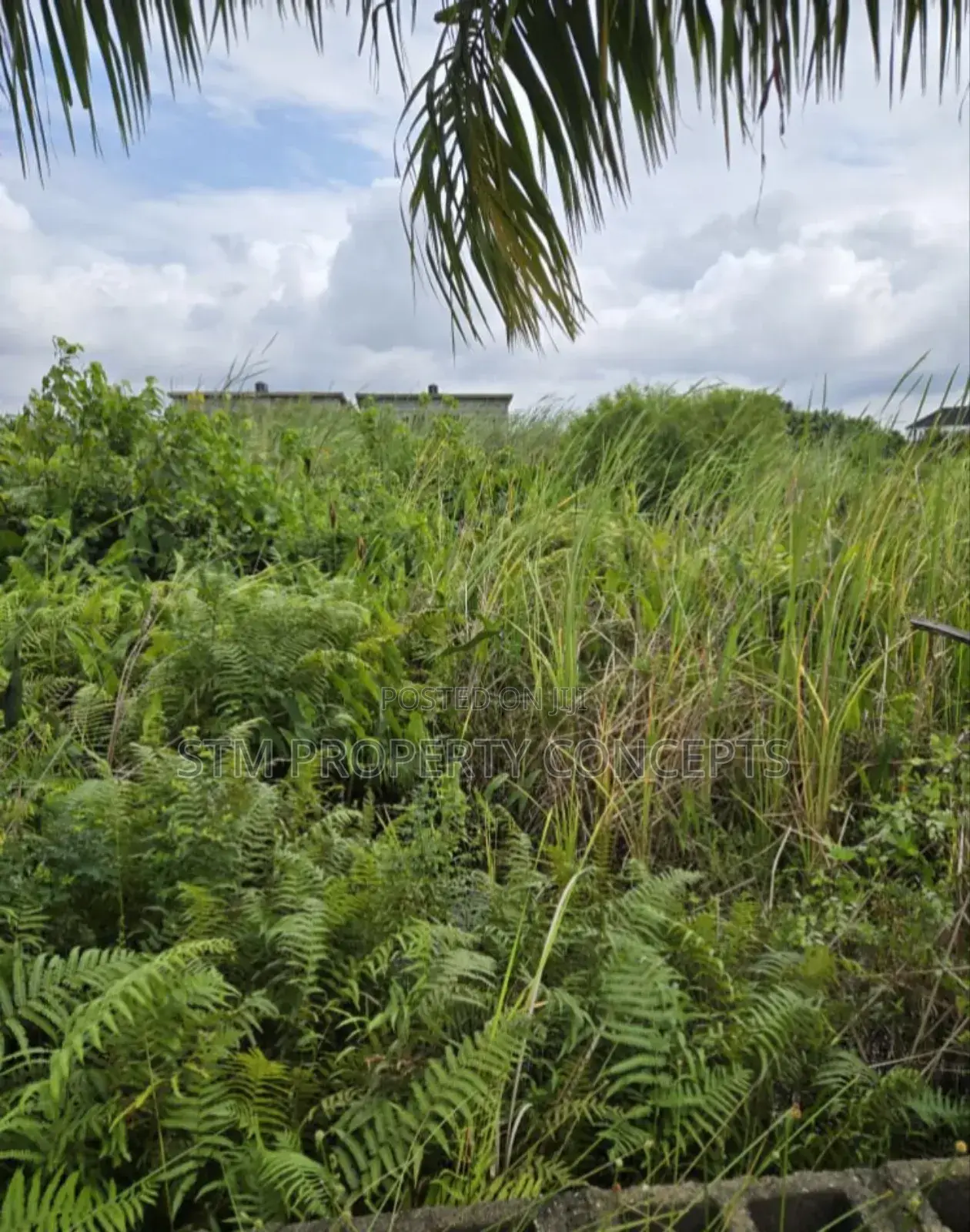 Half Plot of Land for Sale at Taodak Estate Ifako Gbagada Lagos