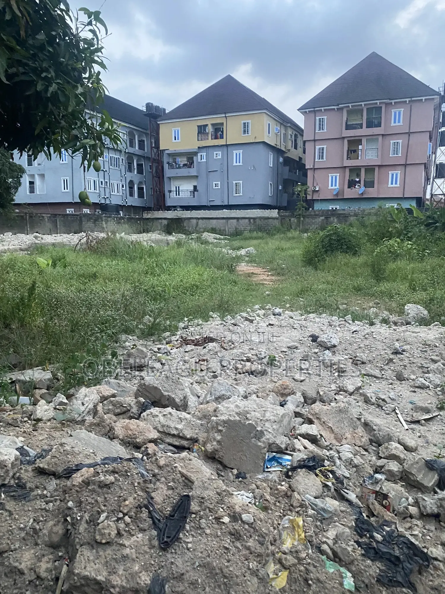 Certificate of Occupancy