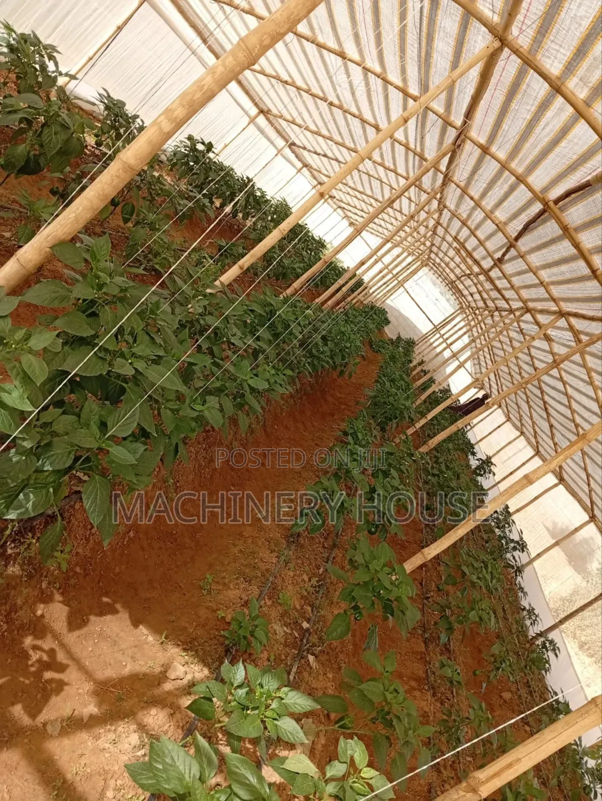 Wooden Green House Construction