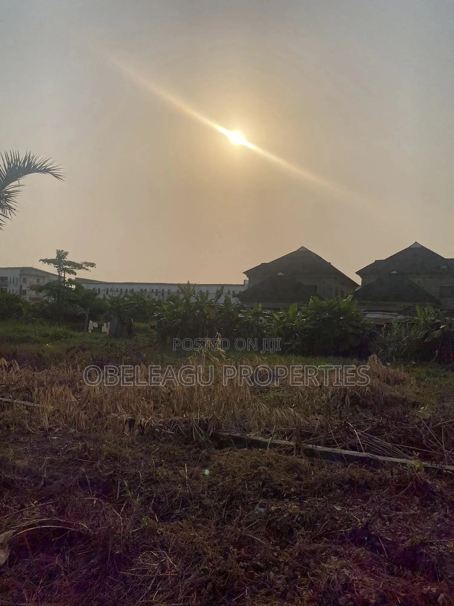 Certificate of Occupancy