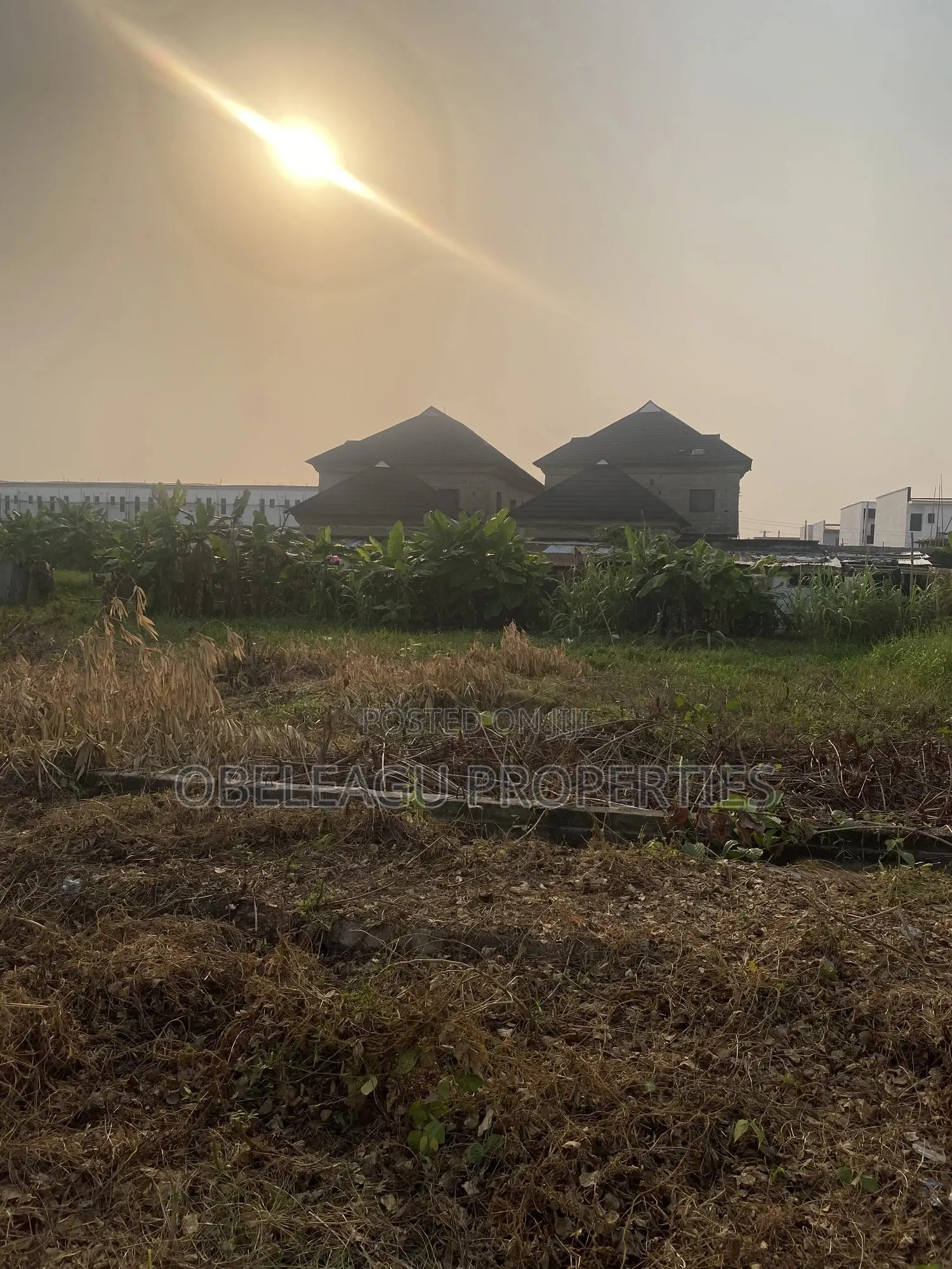 Certificate of Occupancy