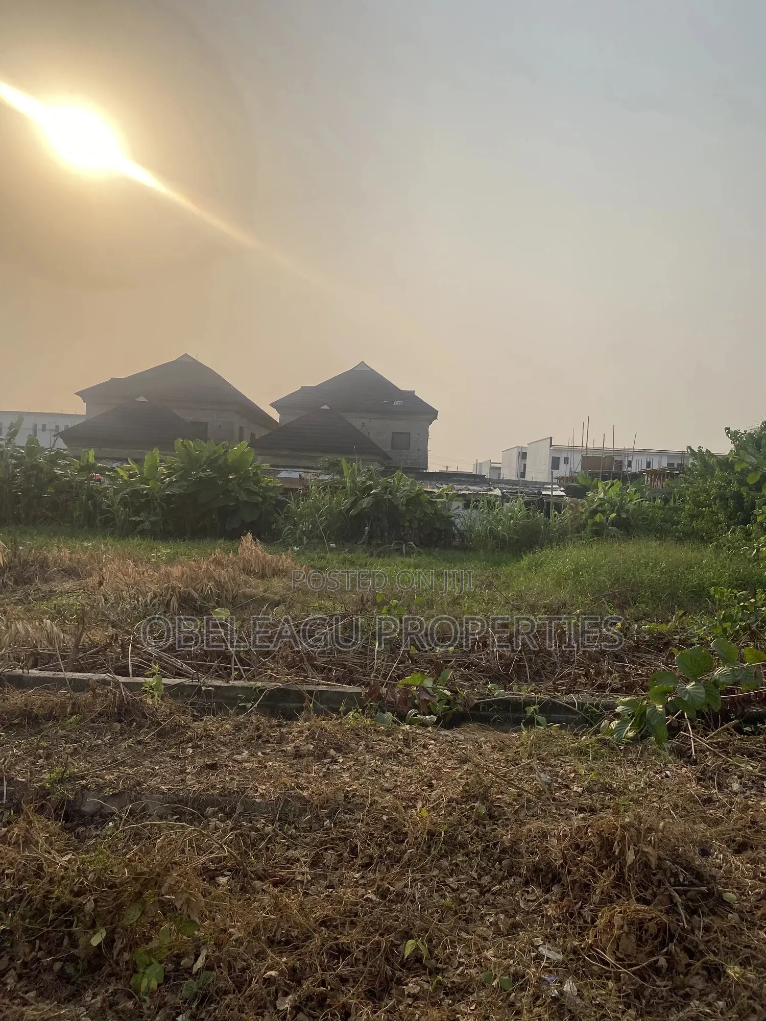 Certificate of Occupancy