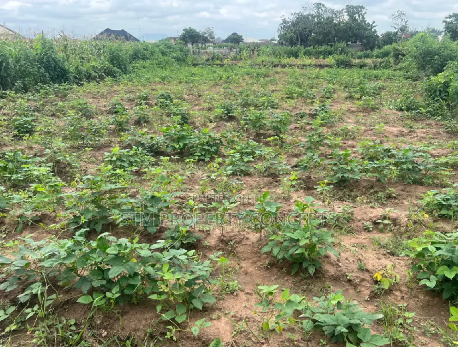 Land For Sale Inside An Estate At Unguwan Gwarzo, Lahadin Makole, Kano