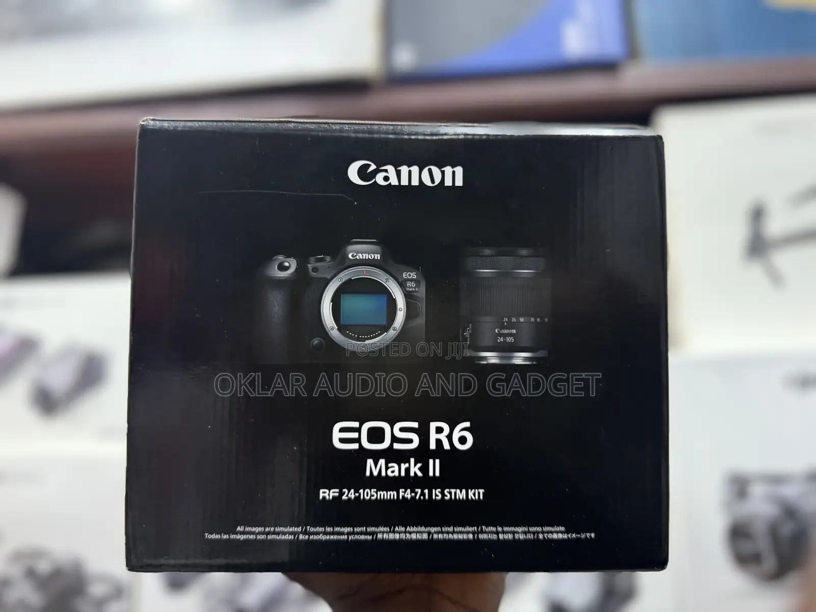 Canon Eos R6 Mark Ii Full Frame Camera With Rf 24-105mm F4 Stm Lens