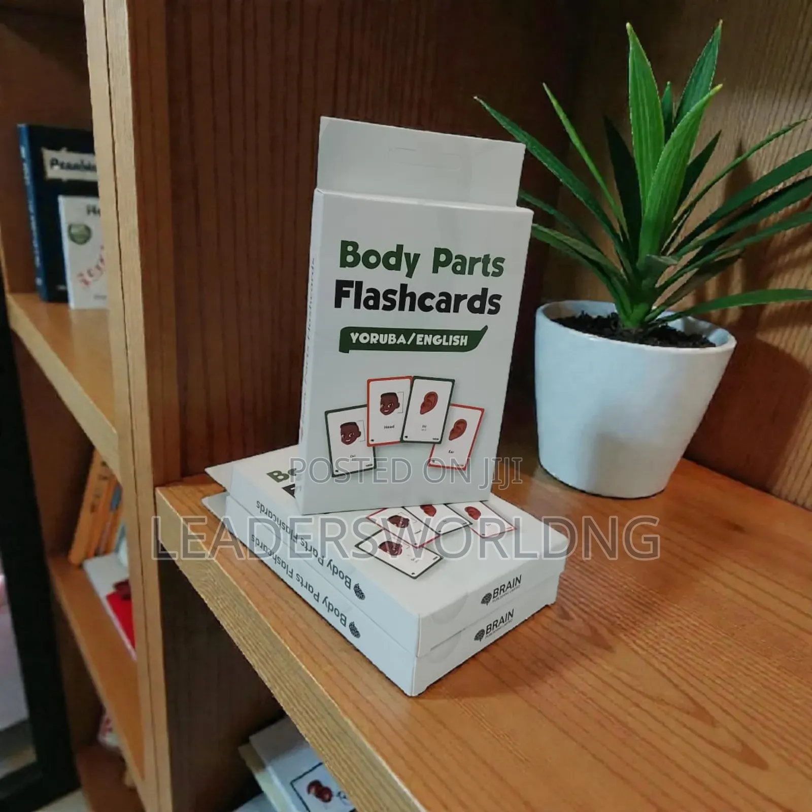 Flash Cards