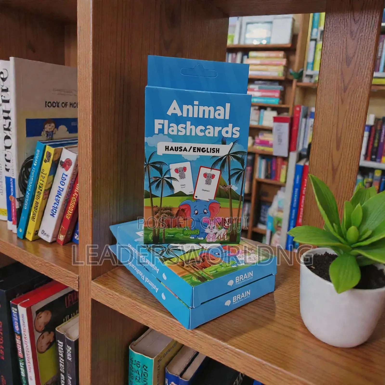 Flash Cards