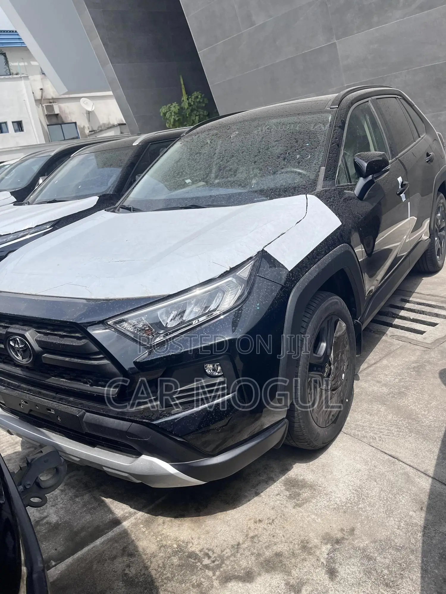 New Toyota Urban Cruiser 2025 Blue