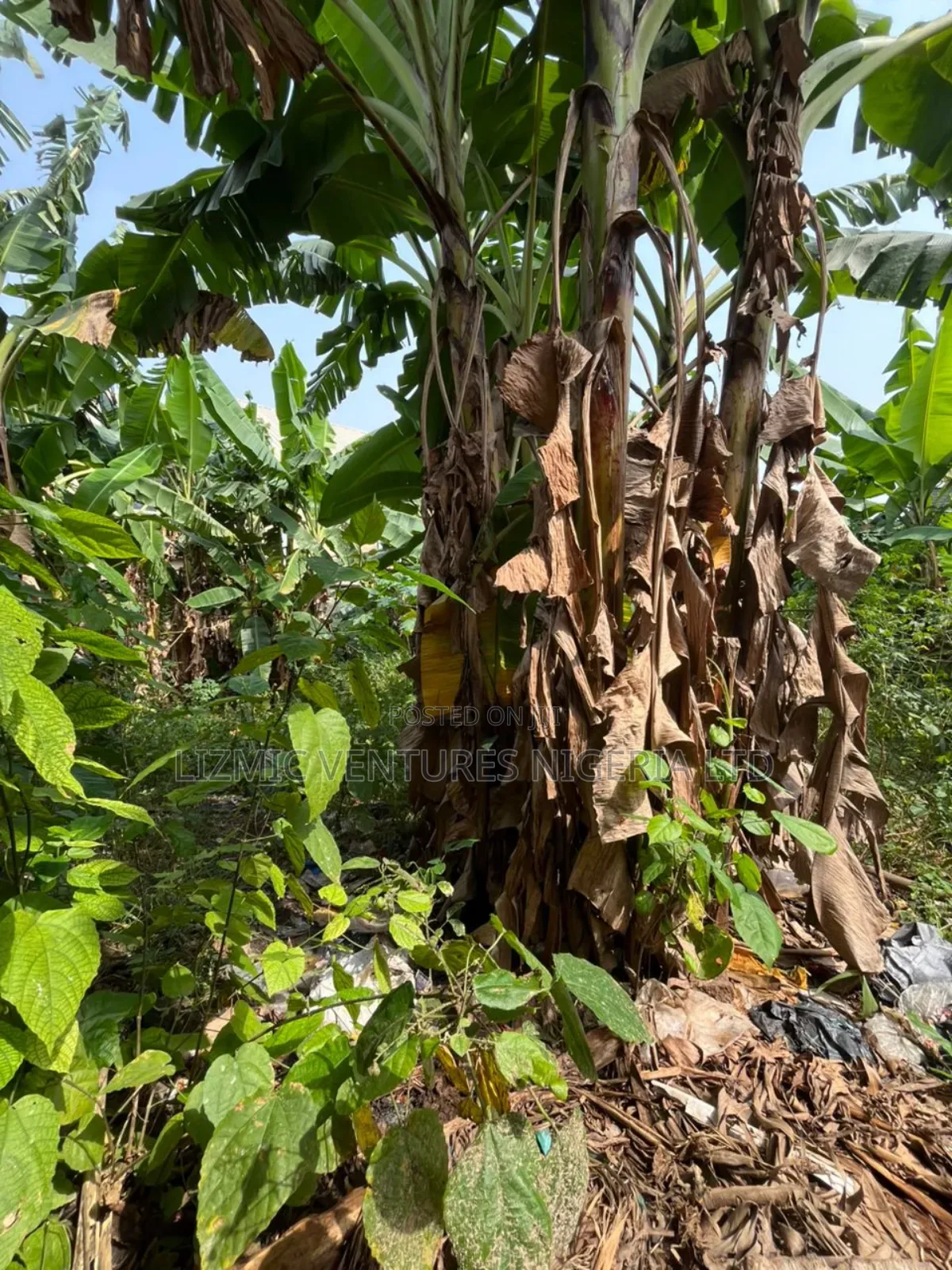 Full Plot of Land for Sale