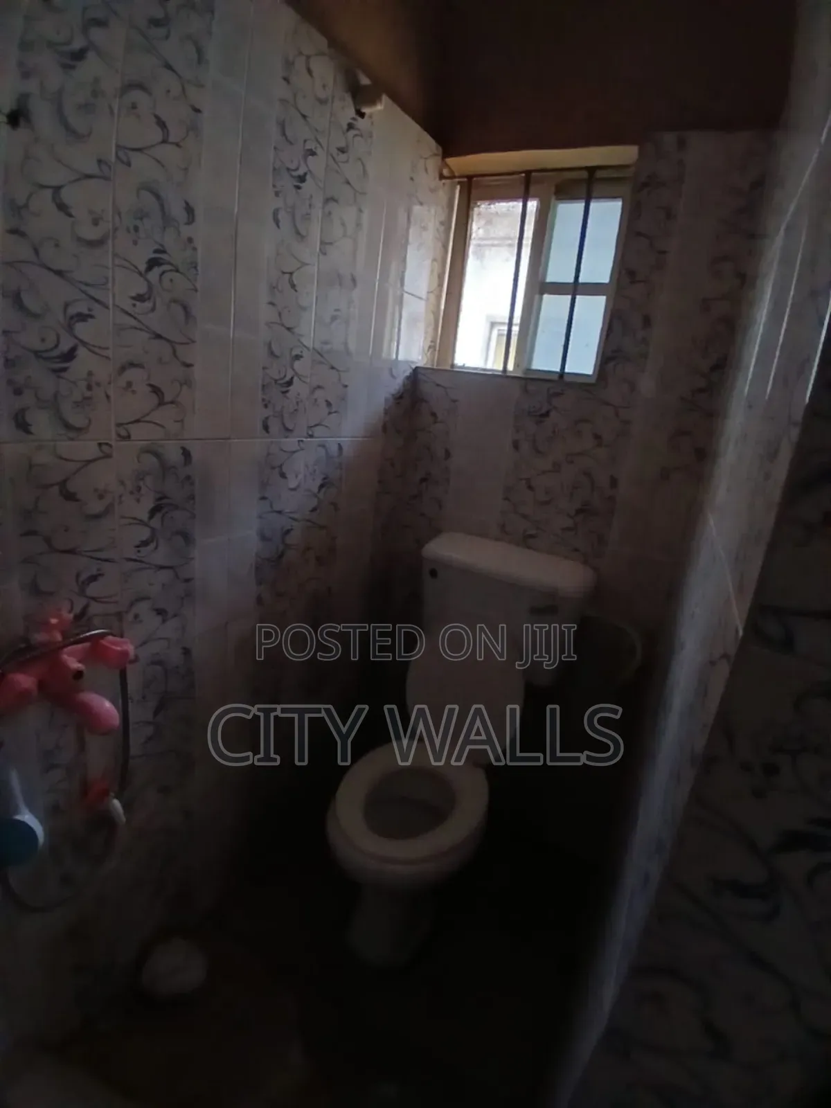 Mini Flat in Badore for rent