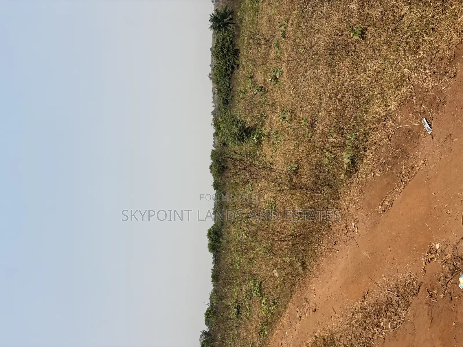 16 Acres Available at Sirafu, Off Iseyin/Ibadan Express Road Iseyin