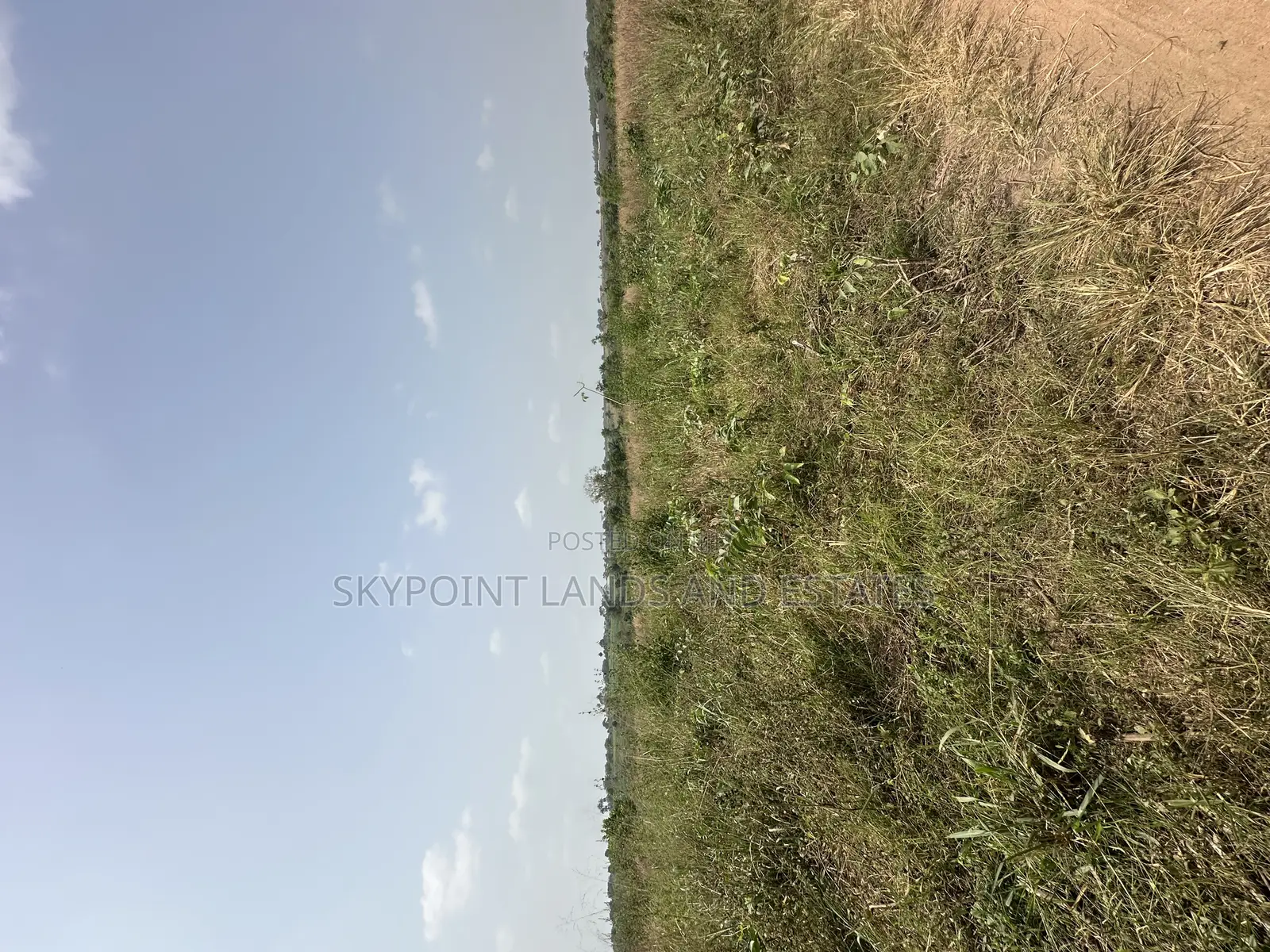 16 Acres Available at Sirafu, Off Iseyin/Ibadan Express Road Iseyin