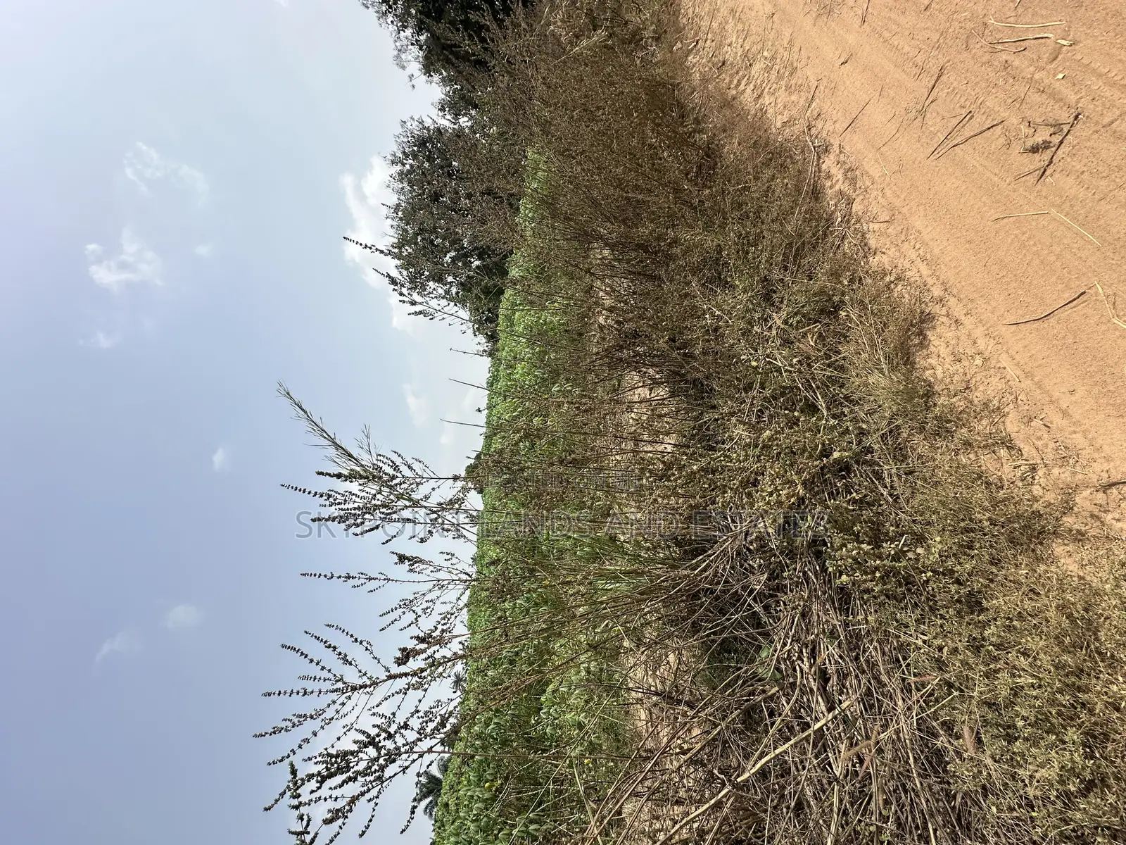 16 Acres Available at Sirafu, Off Iseyin/Ibadan Express Road Iseyin