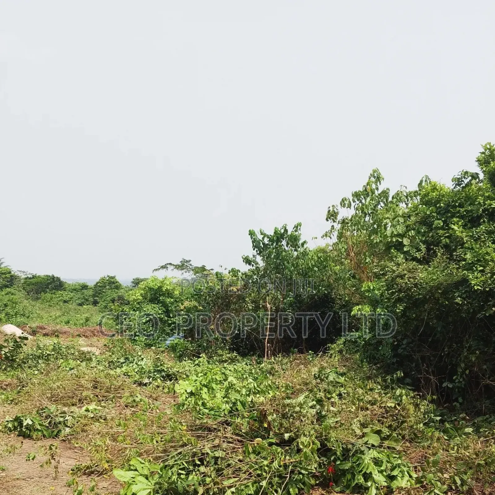 Farm Land Available Epe