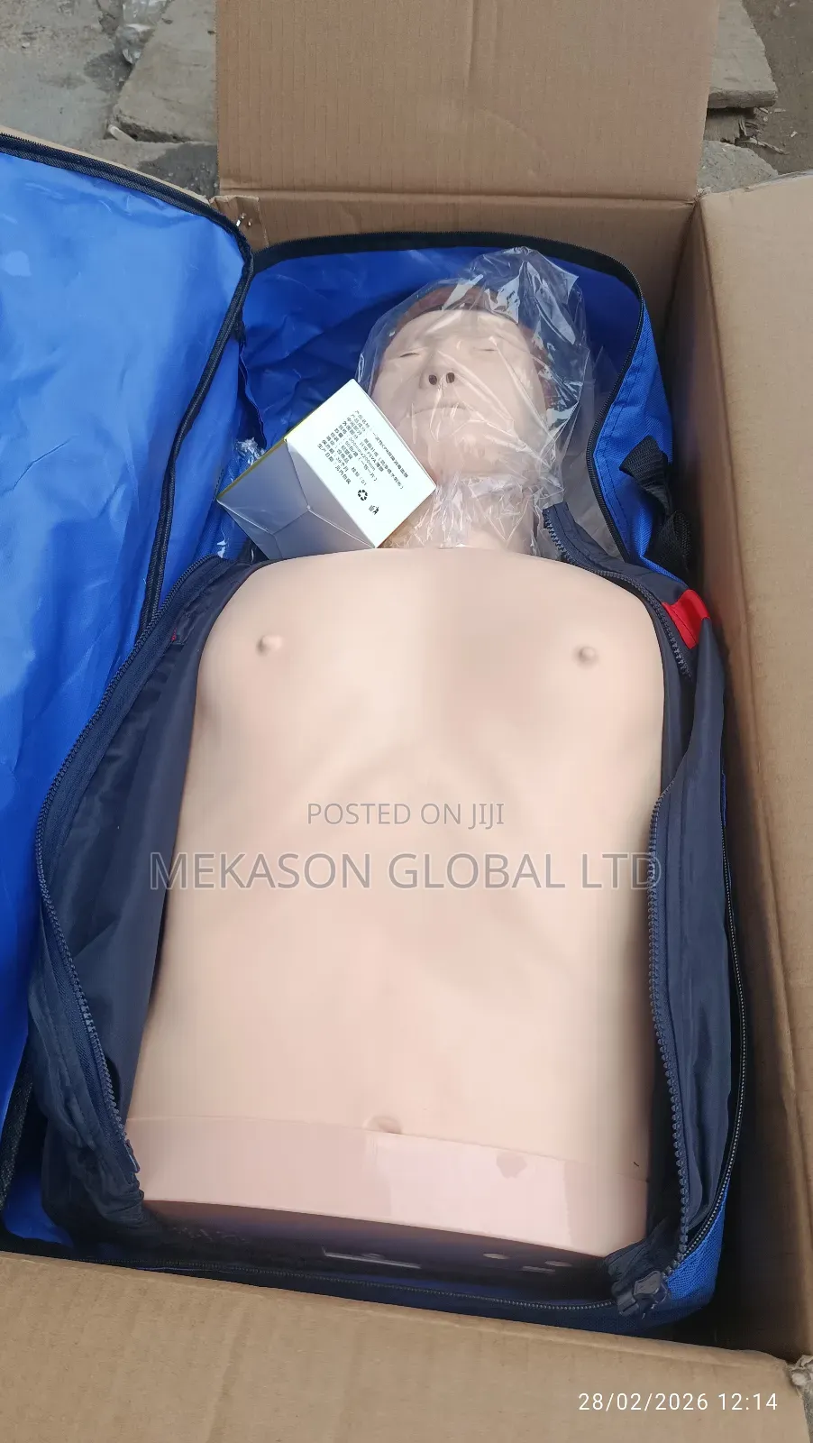 Cpr Manikin
