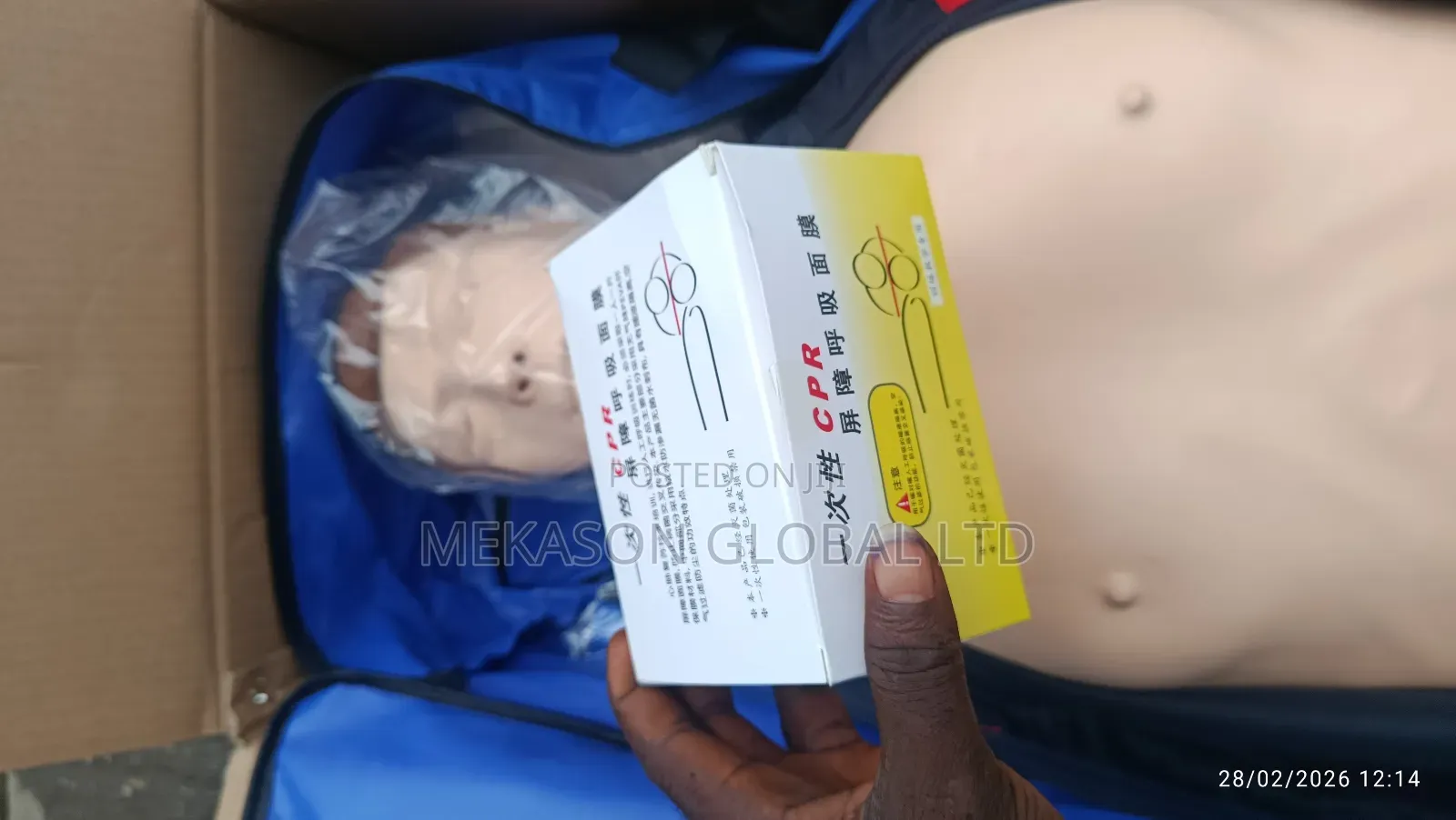 Cpr Manikin