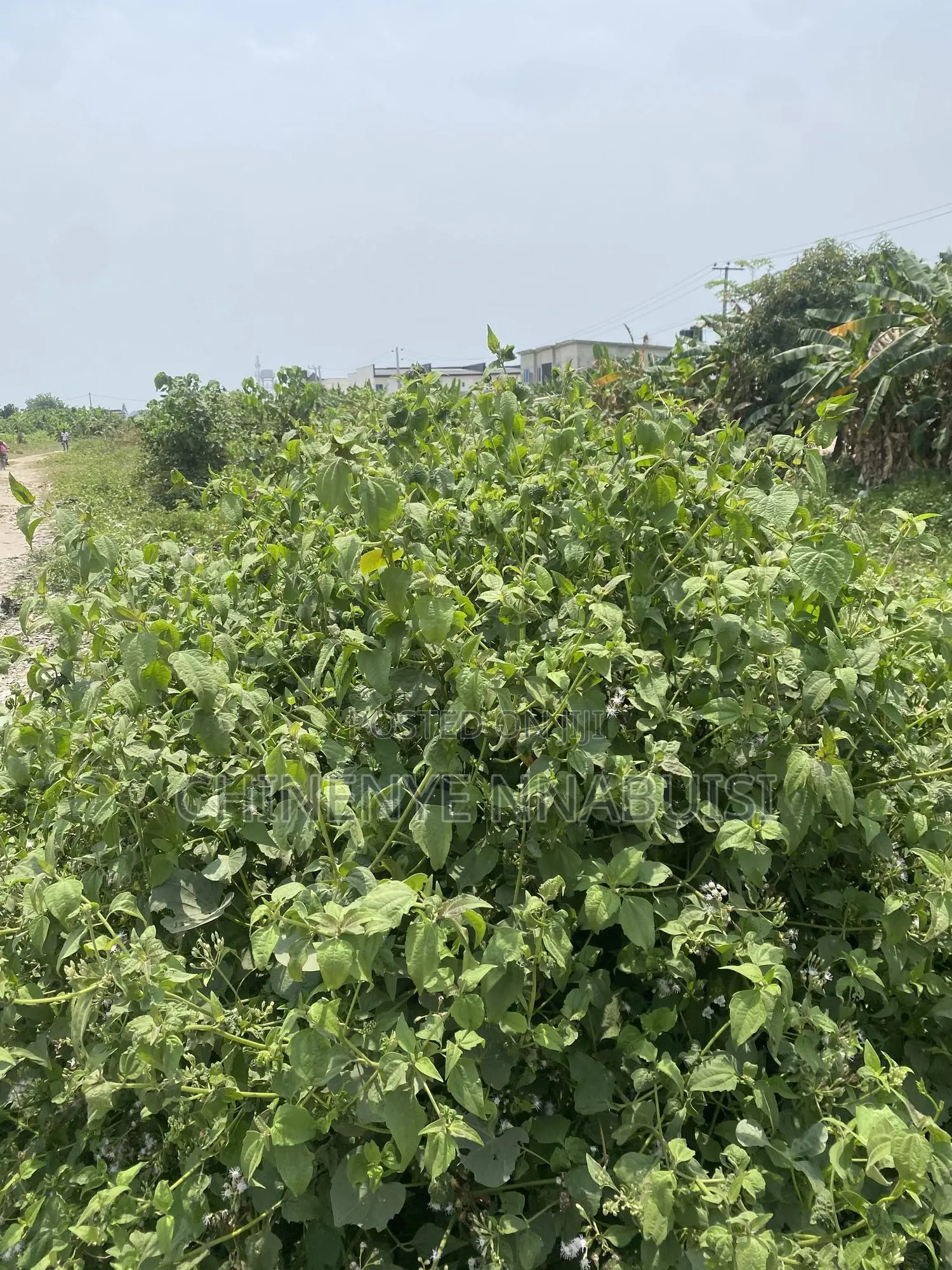 Plots of Land for Sale