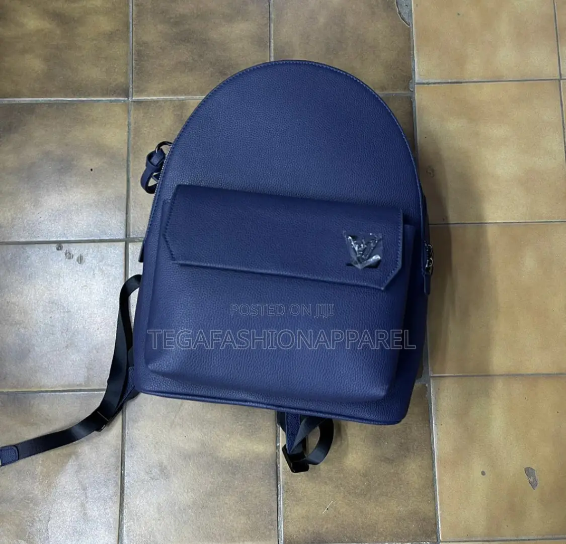 Luxury Louis Vuitton Back Pack