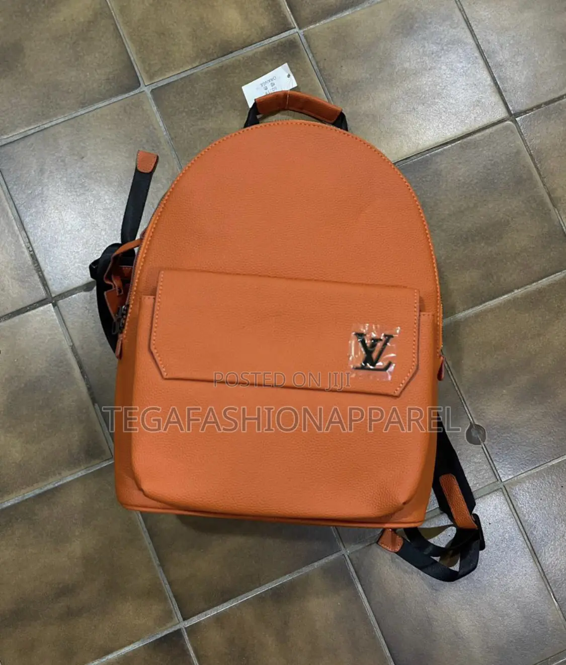 Luxury Louis Vuitton Back Pack