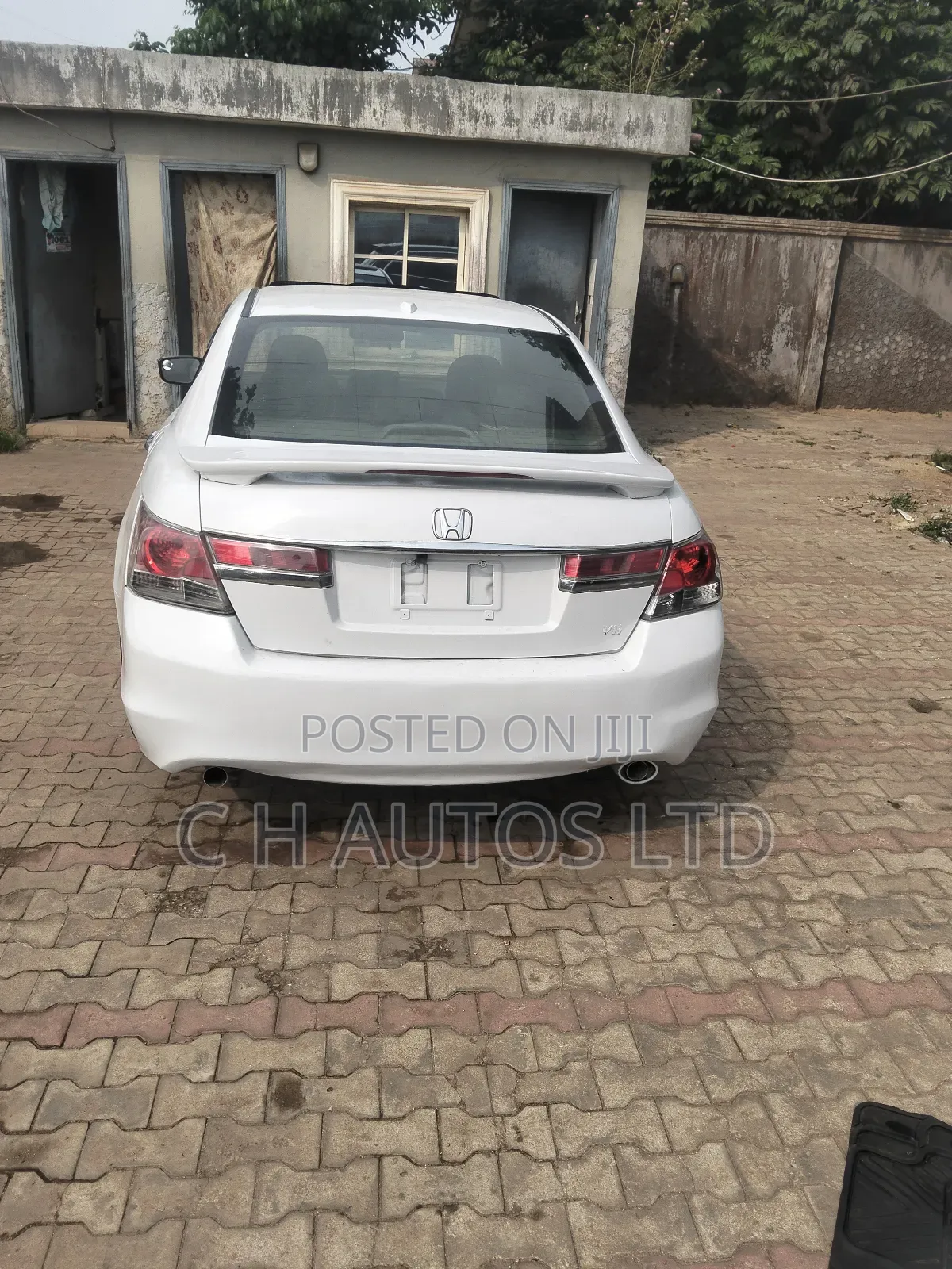 Honda Accord Sedan EX-L V-6 2010 White